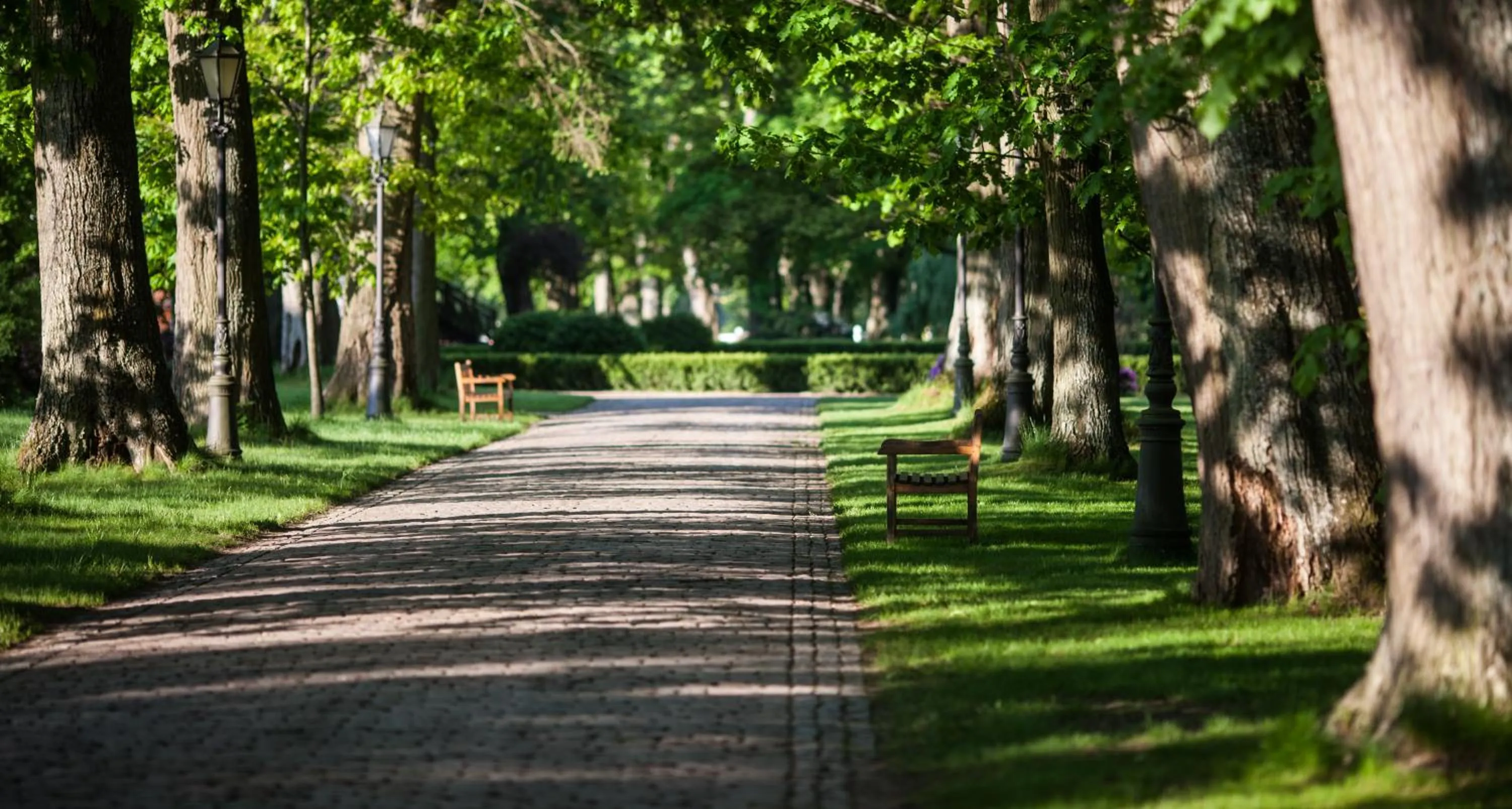 Garden in Pałac Ciekocinko Hotel Resort & Wellness