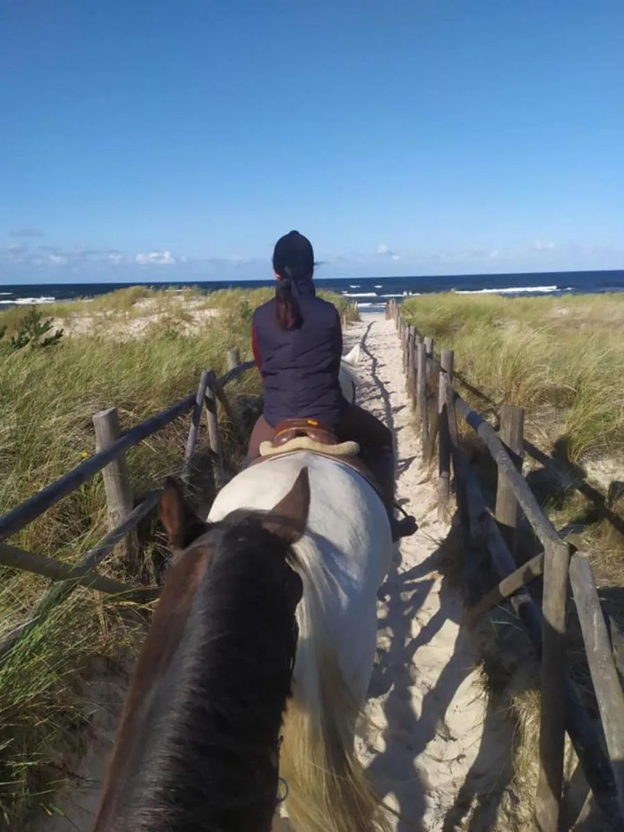 Horse-riding in Pałac Ciekocinko Hotel Resort & Wellness