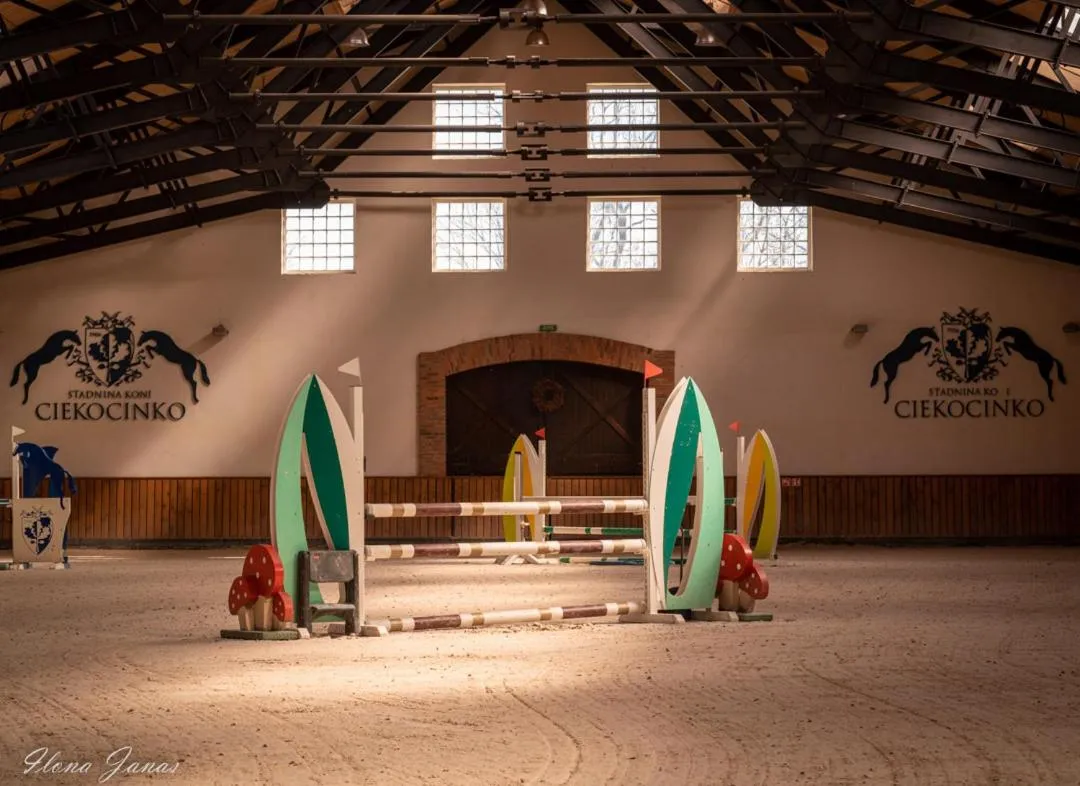 Horse-riding in Pałac Ciekocinko Hotel Resort & Wellness