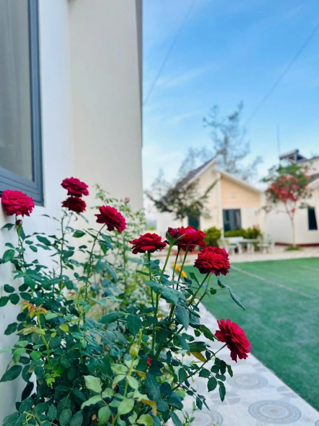 Garden in ĐAM MÊ HOMESTAY