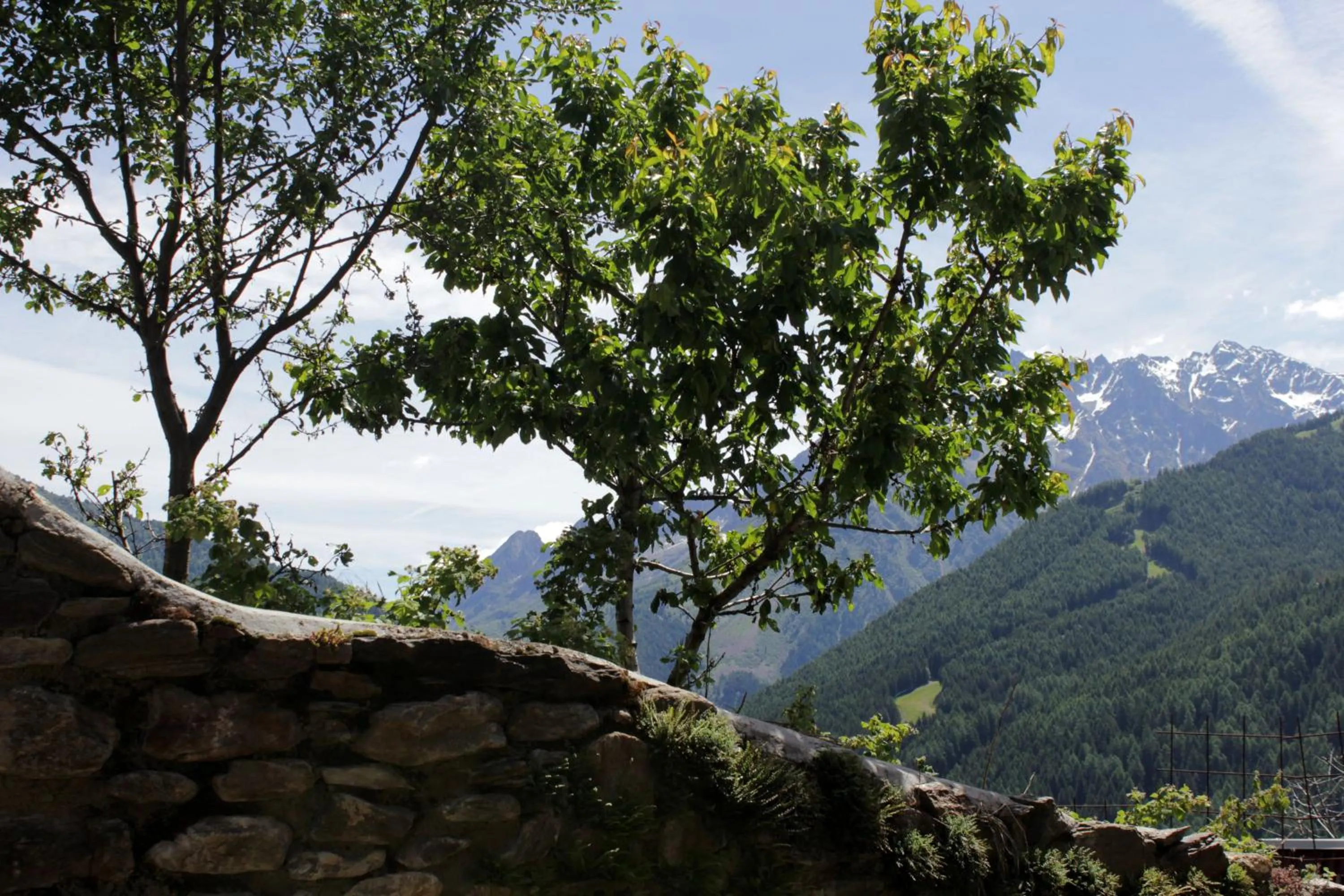 Day in B&B Villa Dalegno