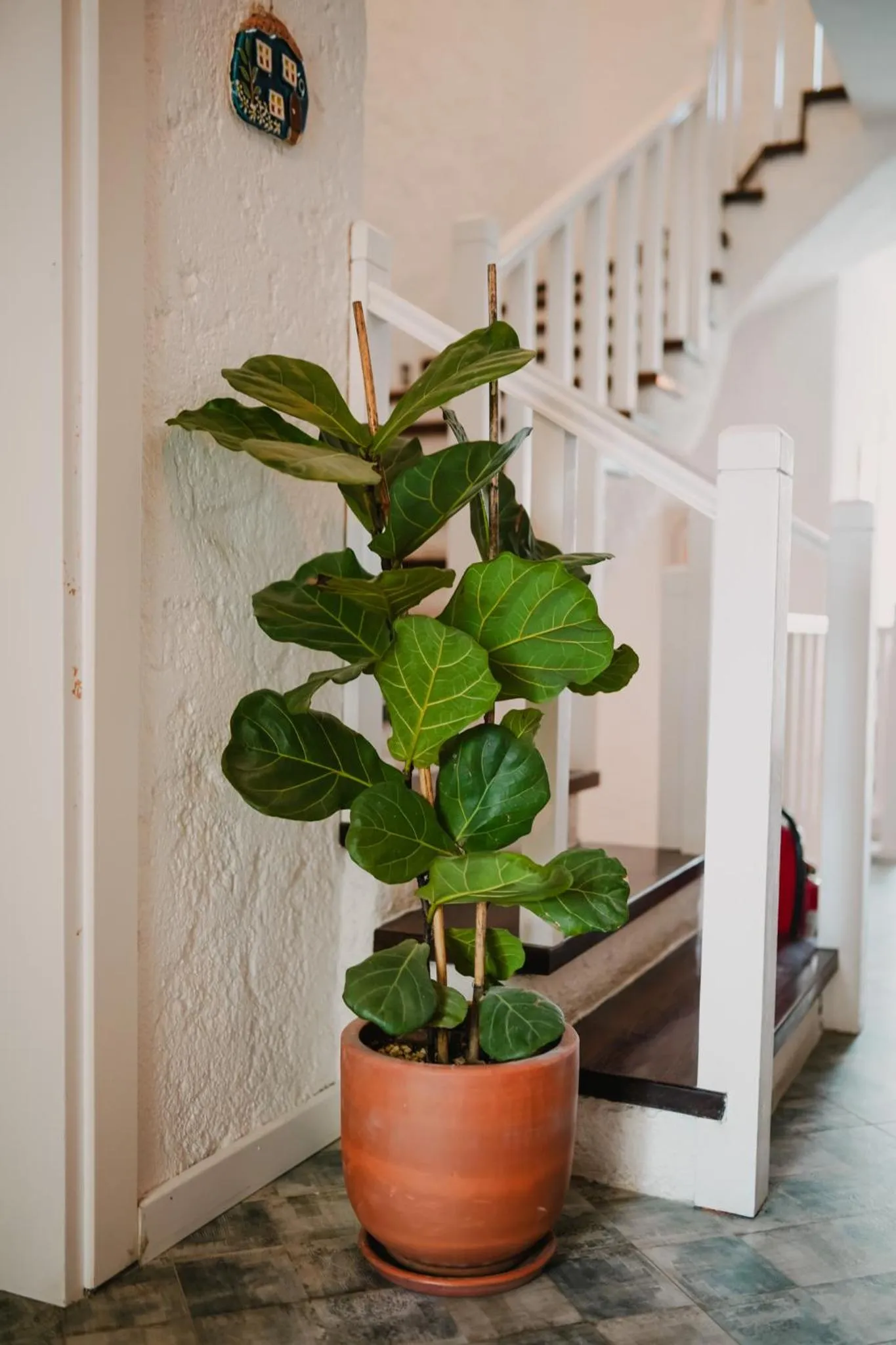 Decorative detail in Portakal Çiçeği Alaçatı