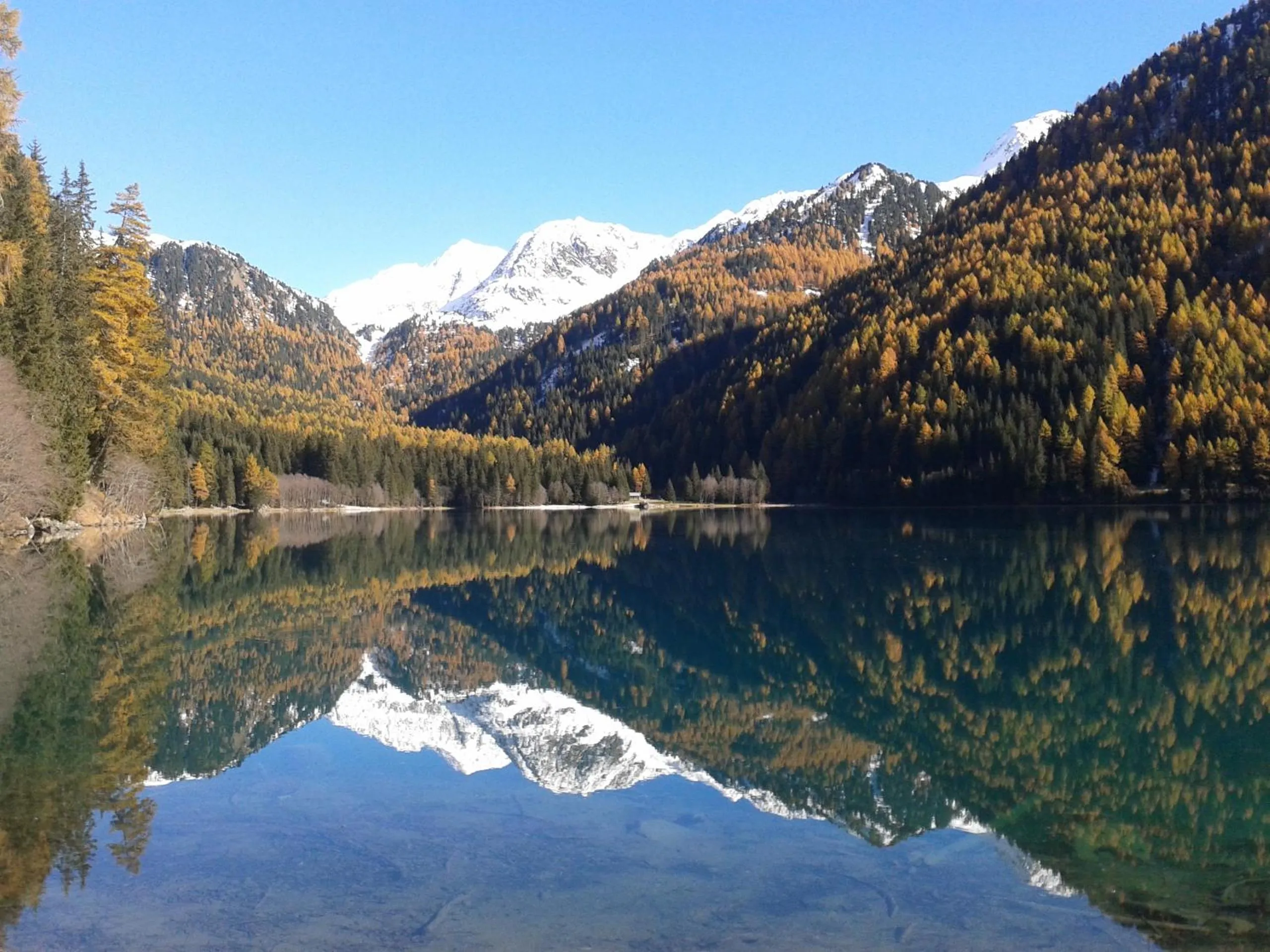 Natural landscape in Hotel Pörnbacher