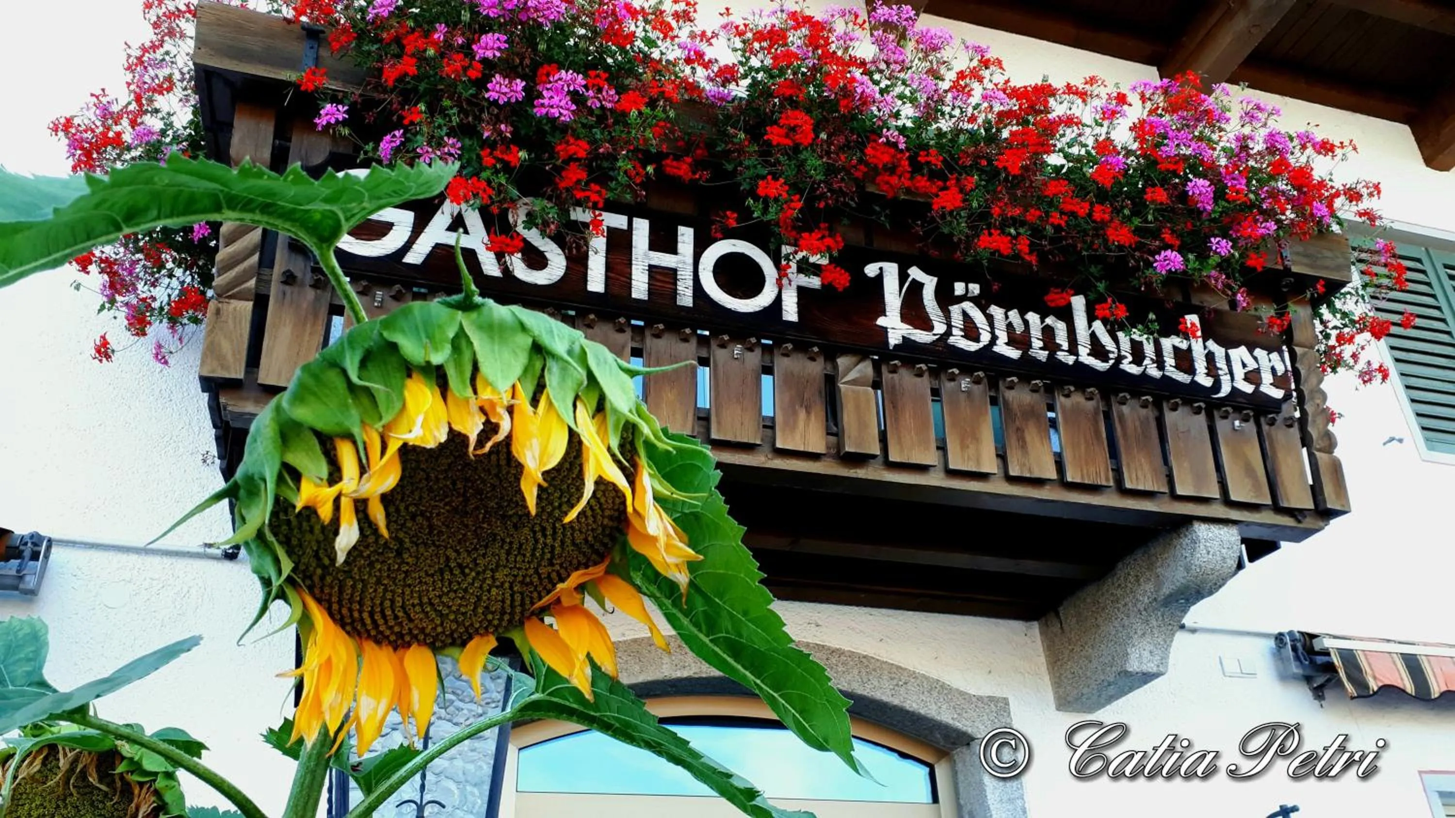 Property building in Hotel Pörnbacher