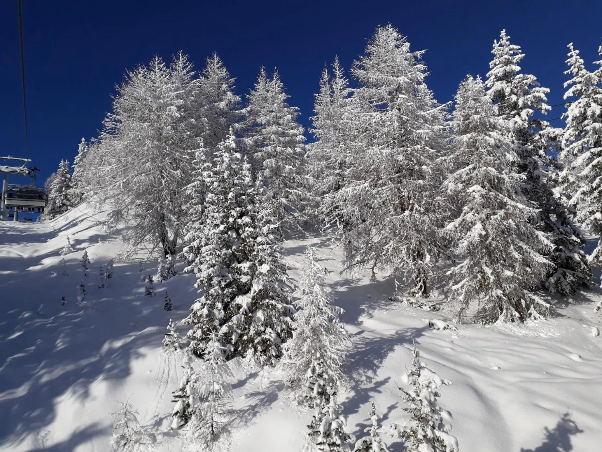 Area and facilities in Hotel Pörnbacher