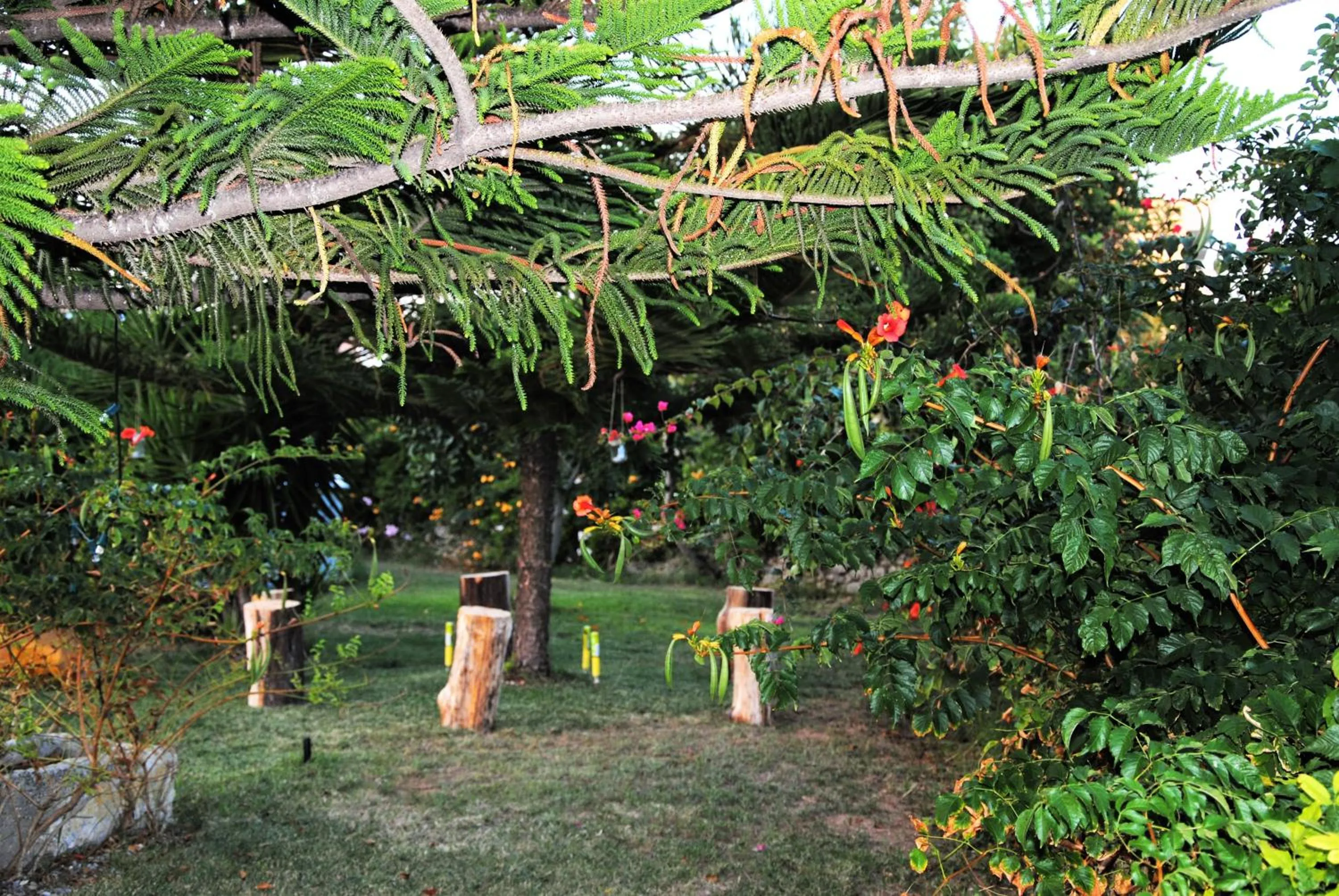 Garden in B&B Donna Luisa