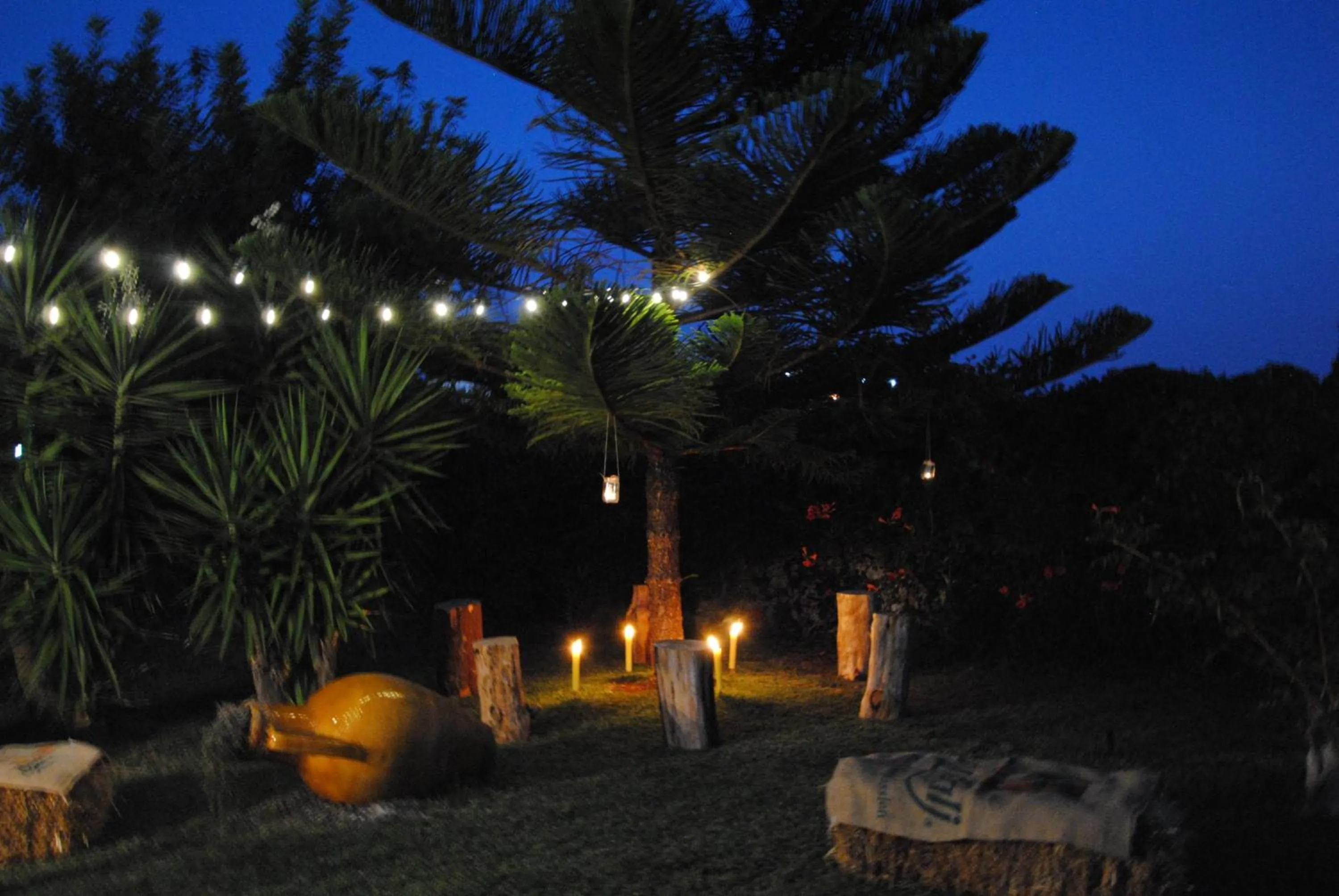 Garden in B&B Donna Luisa