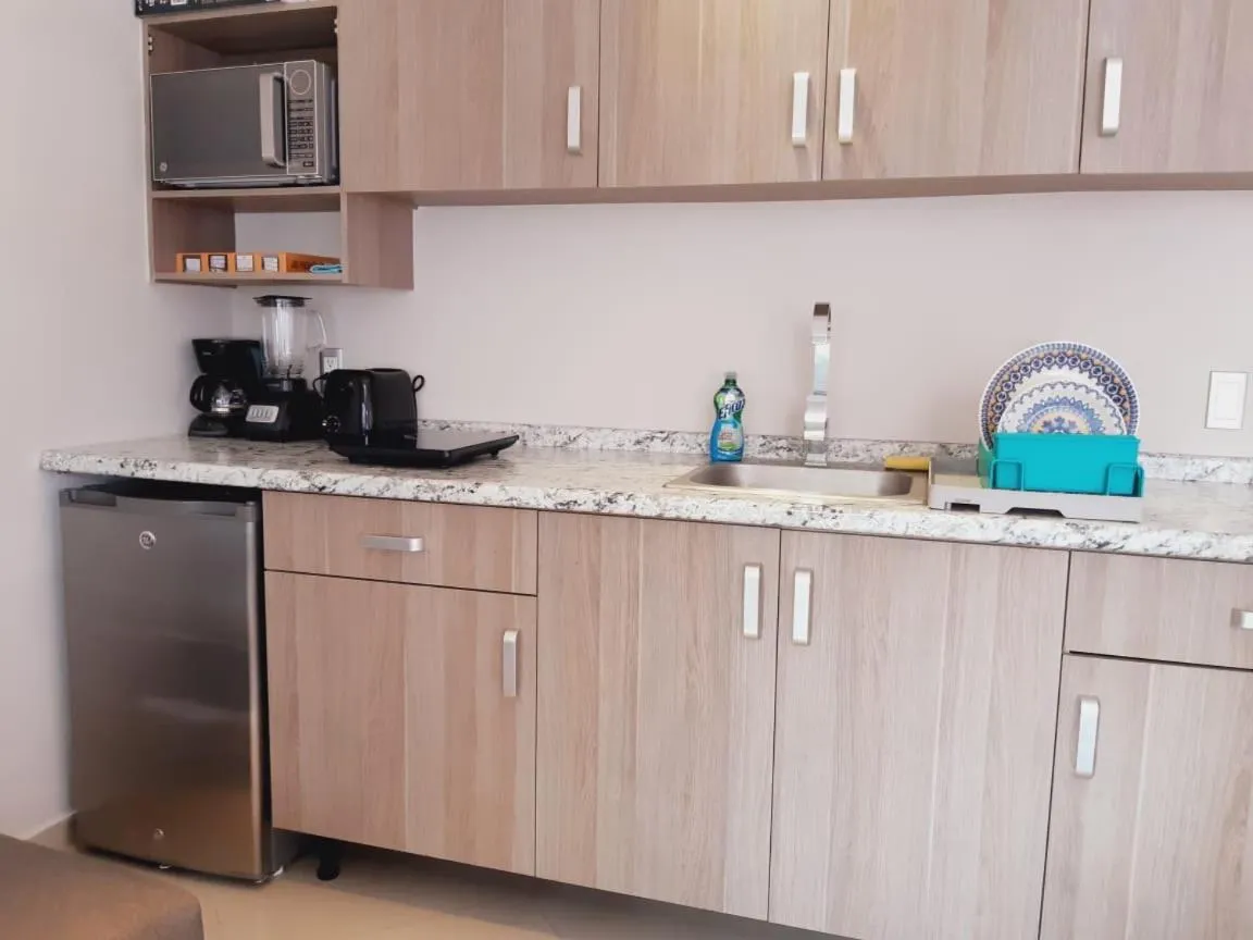 Kitchen or kitchenette in Playa Centro Rooftop Apartments & Studios