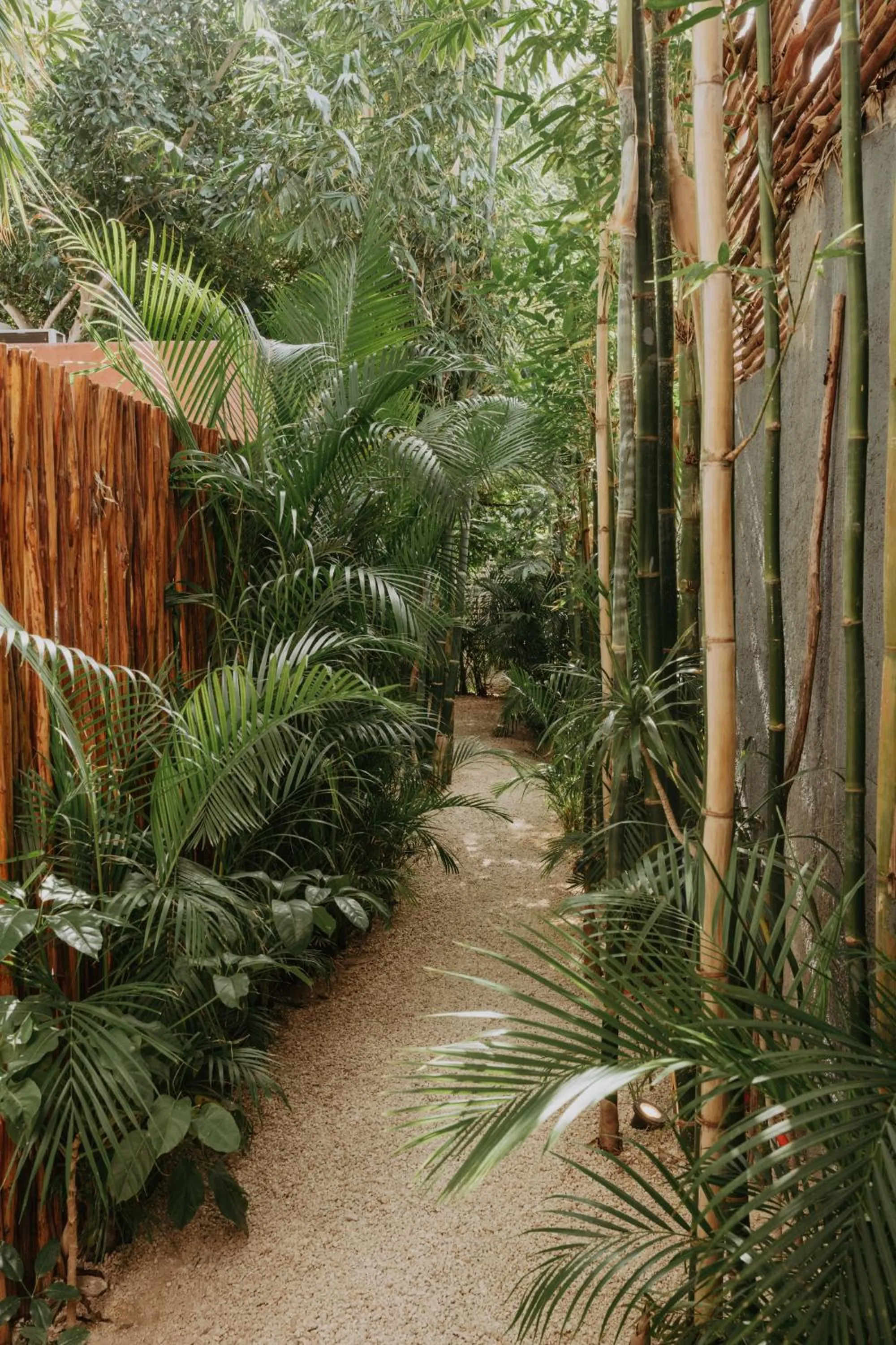 Natural landscape in CASA CHAKÁ BOUTIQUE