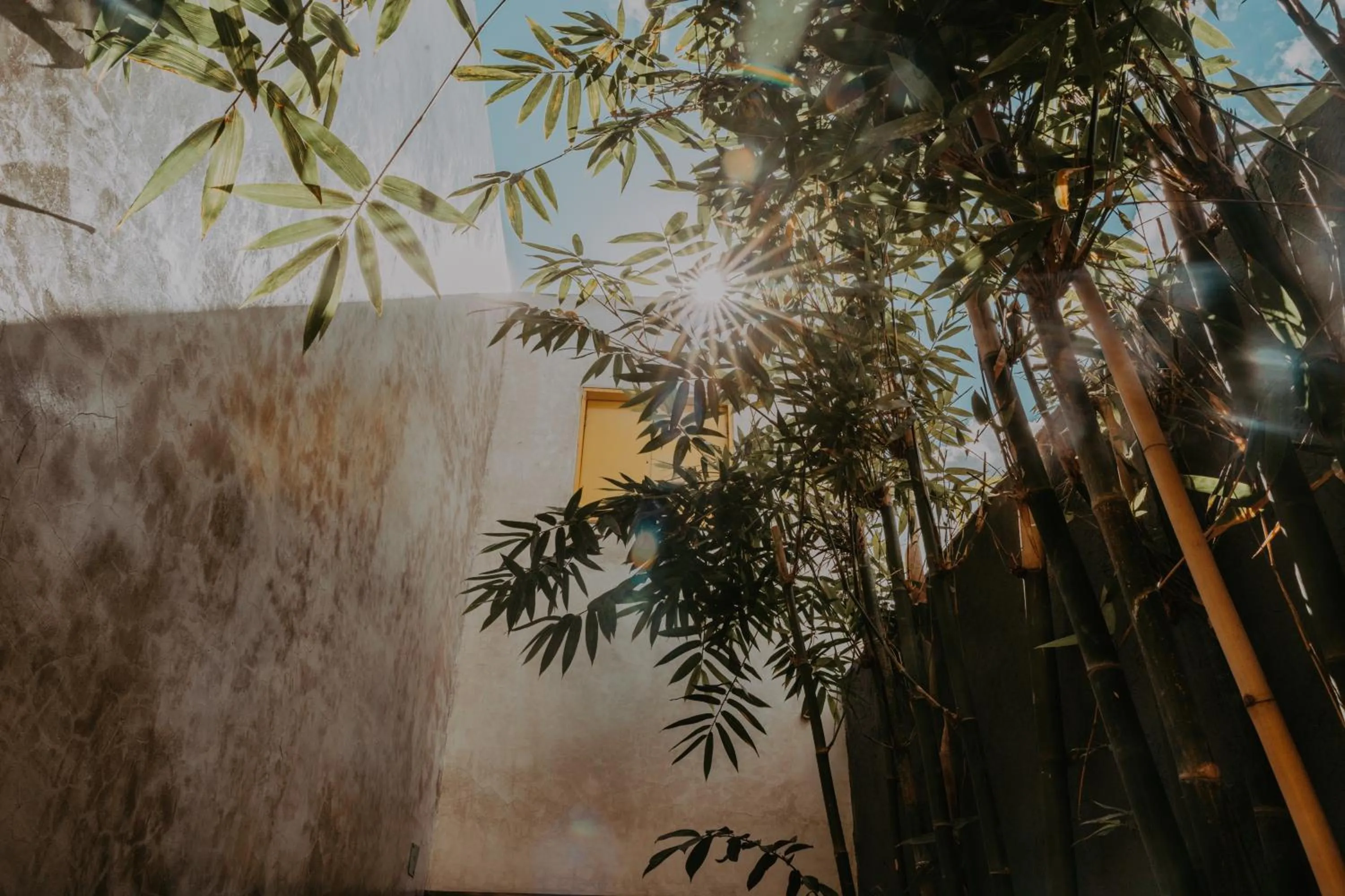 Natural landscape in CASA CHAKÁ BOUTIQUE