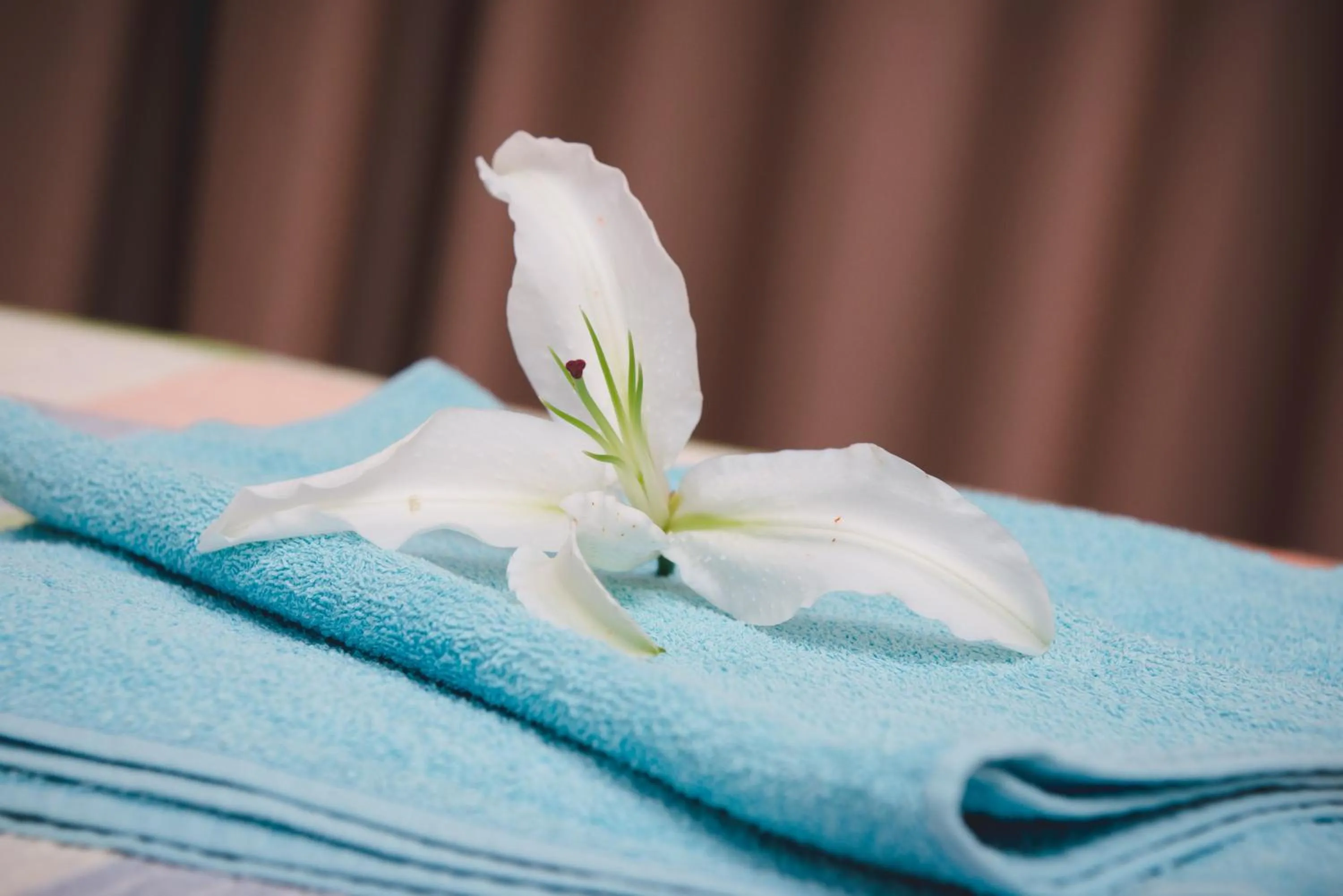 Decorative detail in Valentinos Apartments