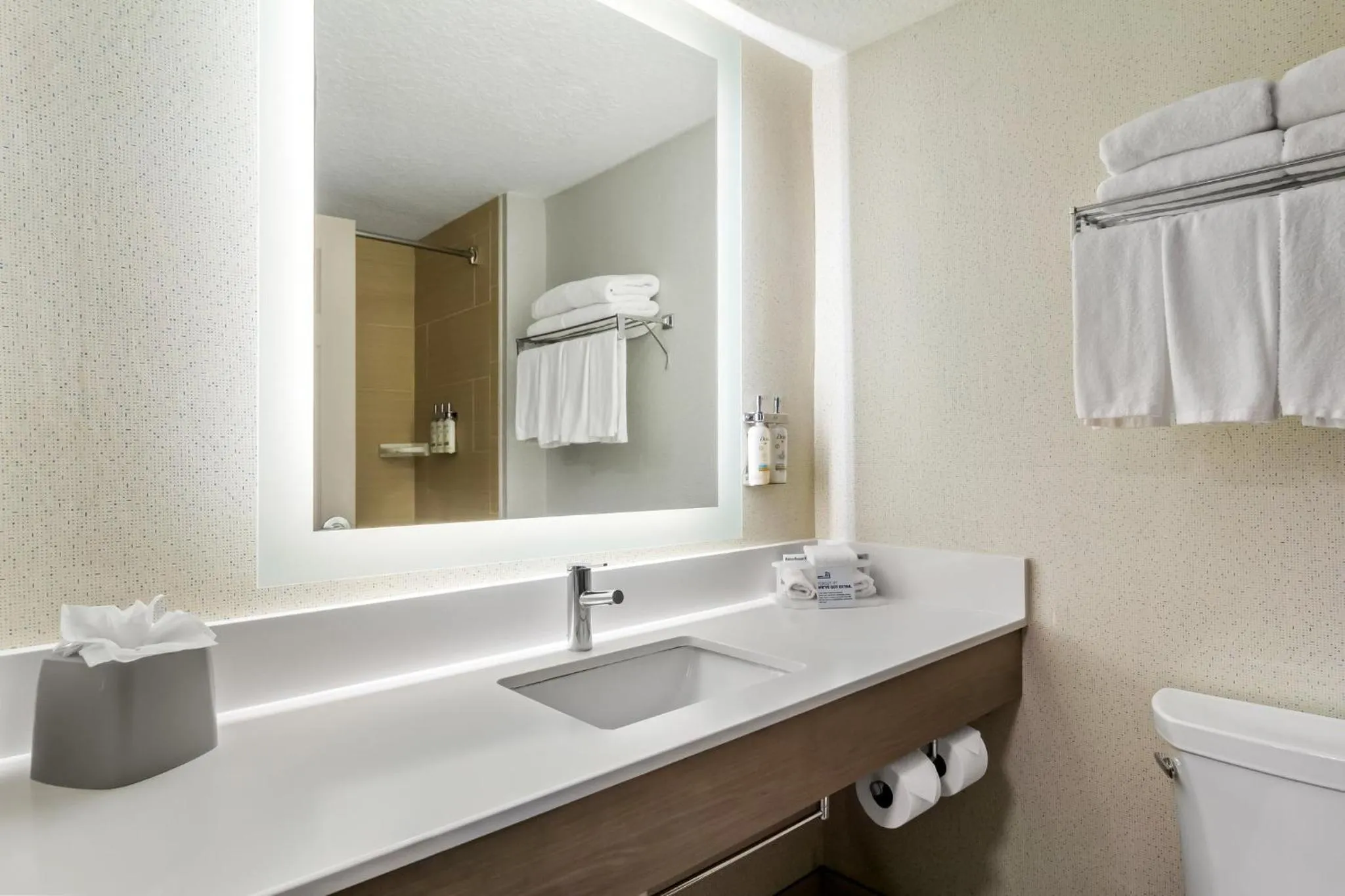 Bathroom in Holiday Inn Express & Suites Jacksonville South East - Medical Center Area by IHG