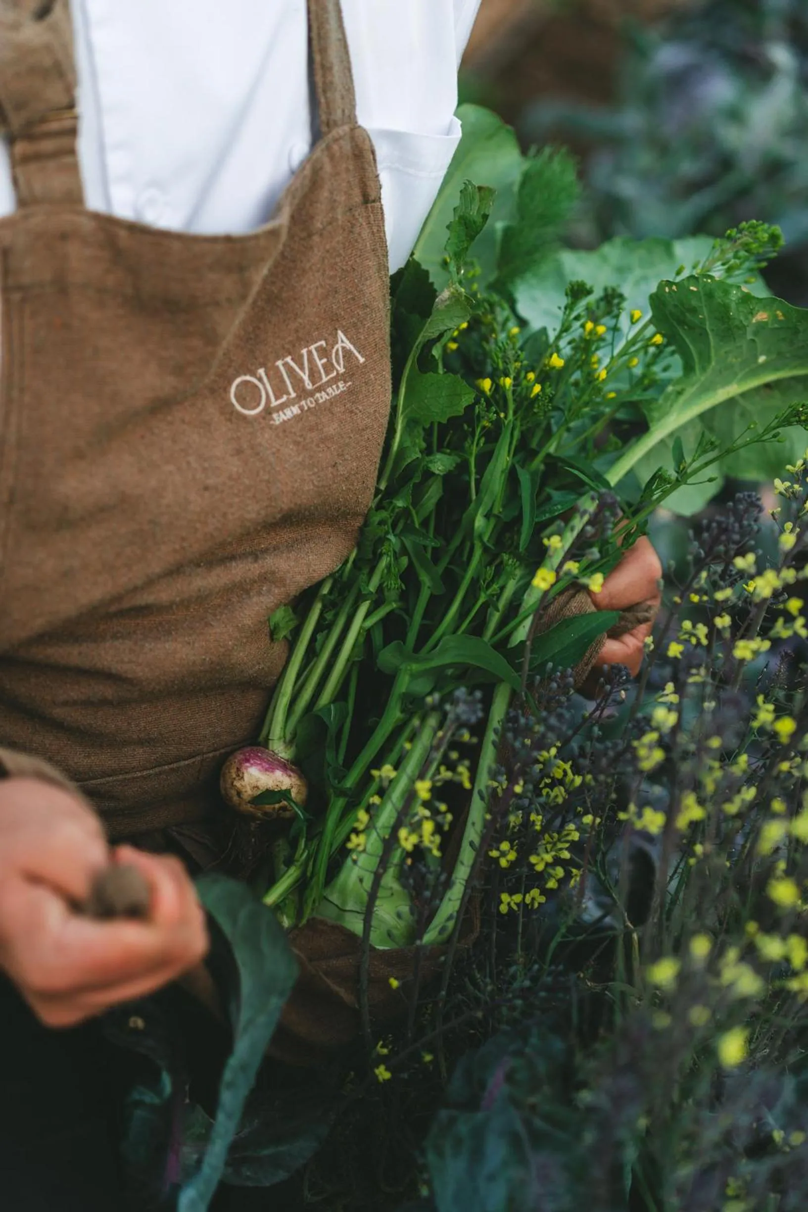 Restaurant/places to eat in MYA Hotel