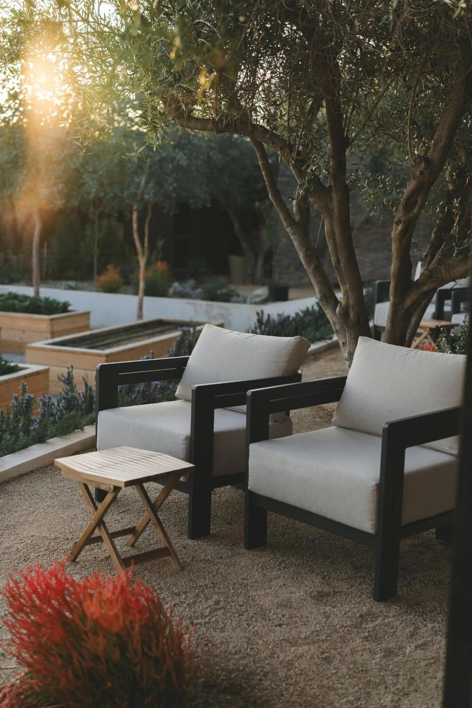 Restaurant/places to eat in MYA Hotel