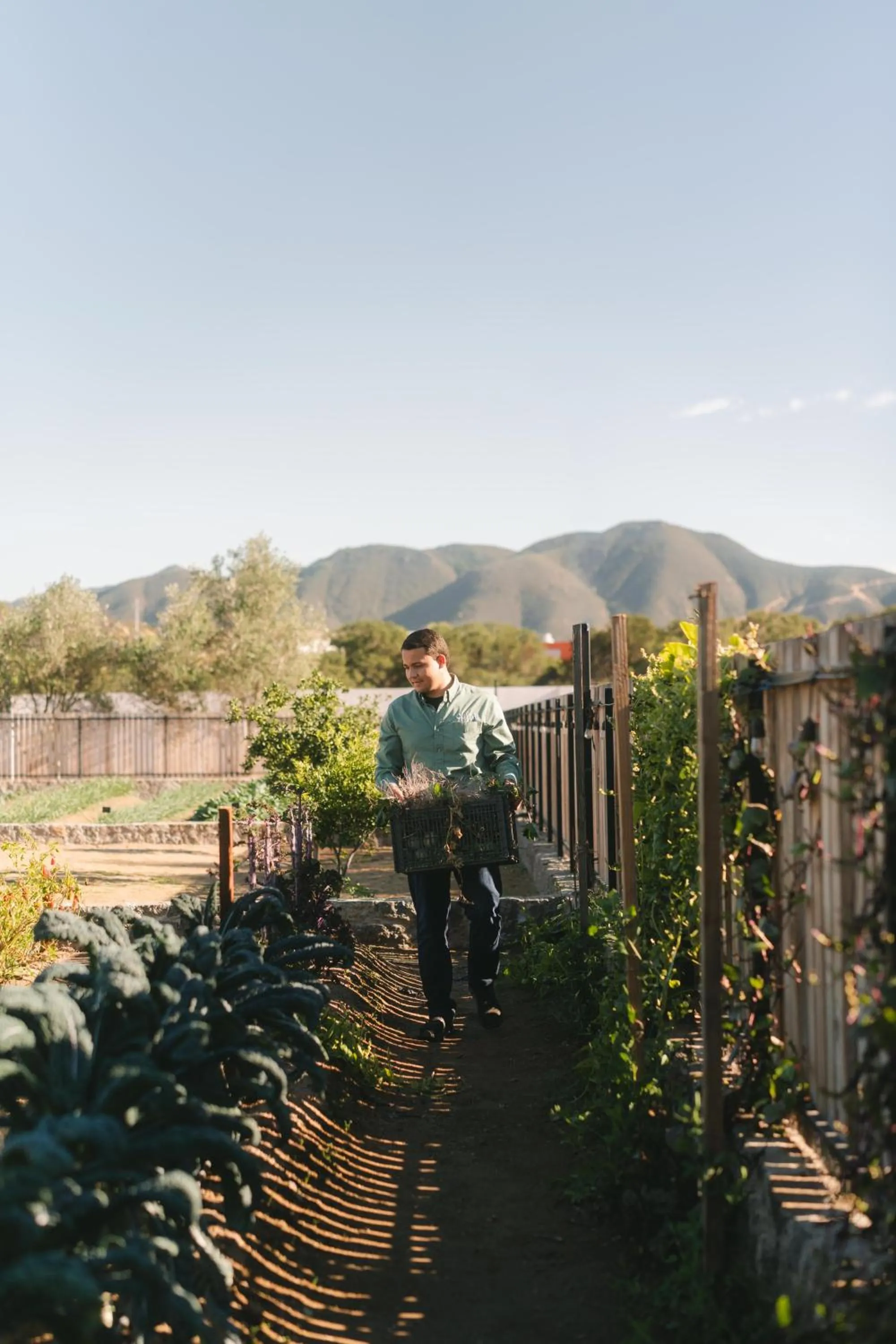 Garden view in Casa Olivea