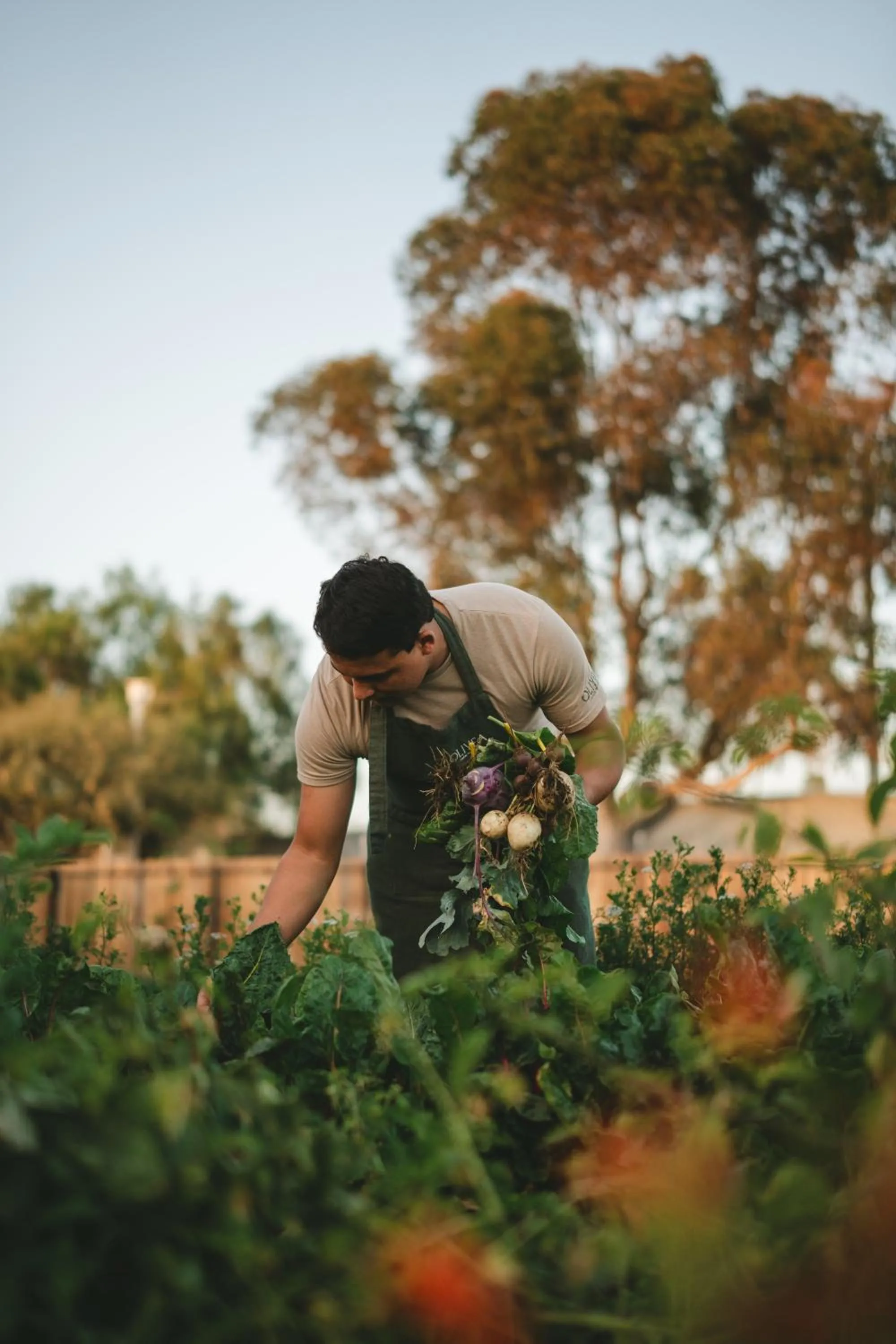 Restaurant/places to eat in MYA Hotel