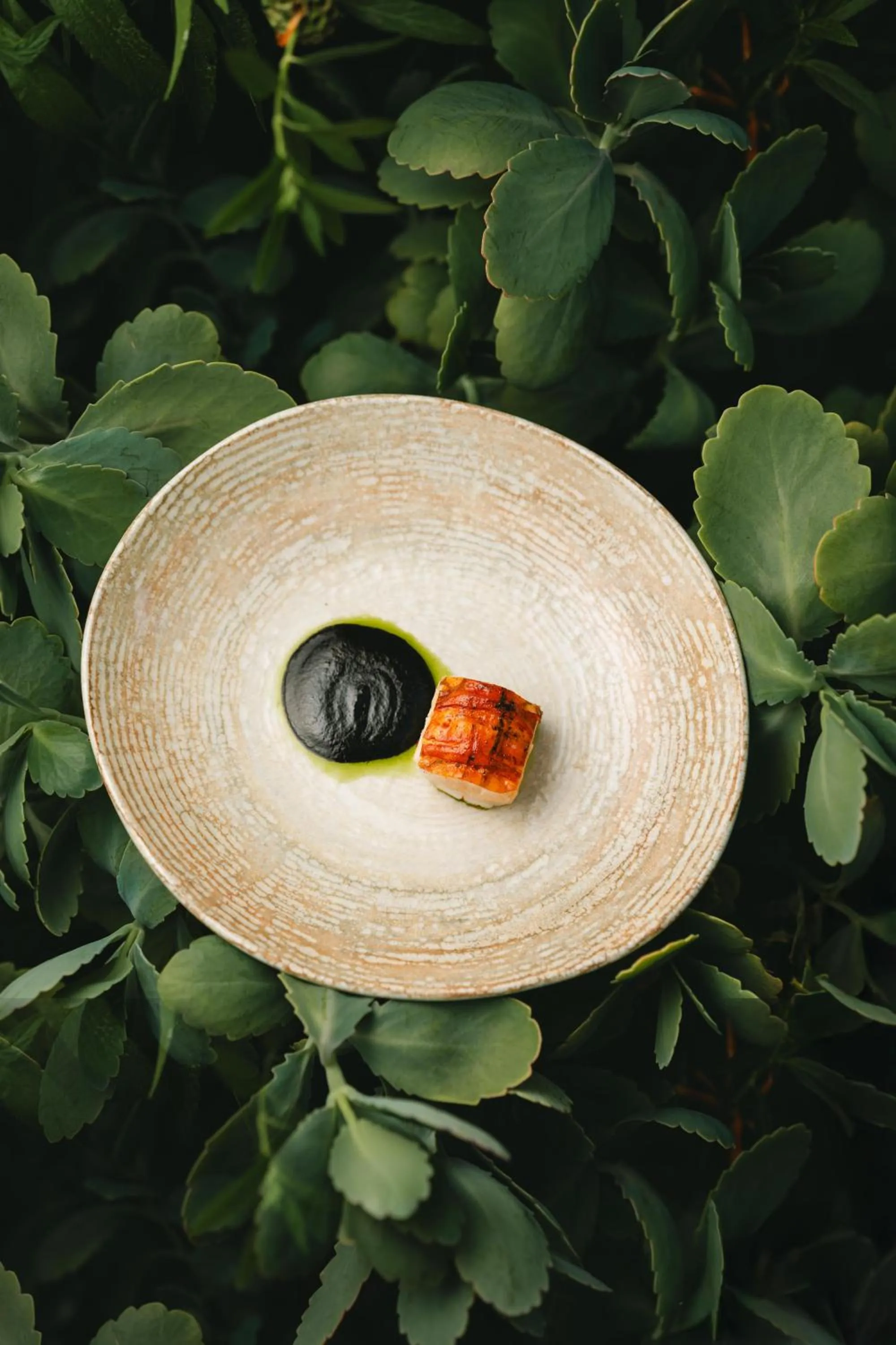 Restaurant/places to eat in Casa Olivea