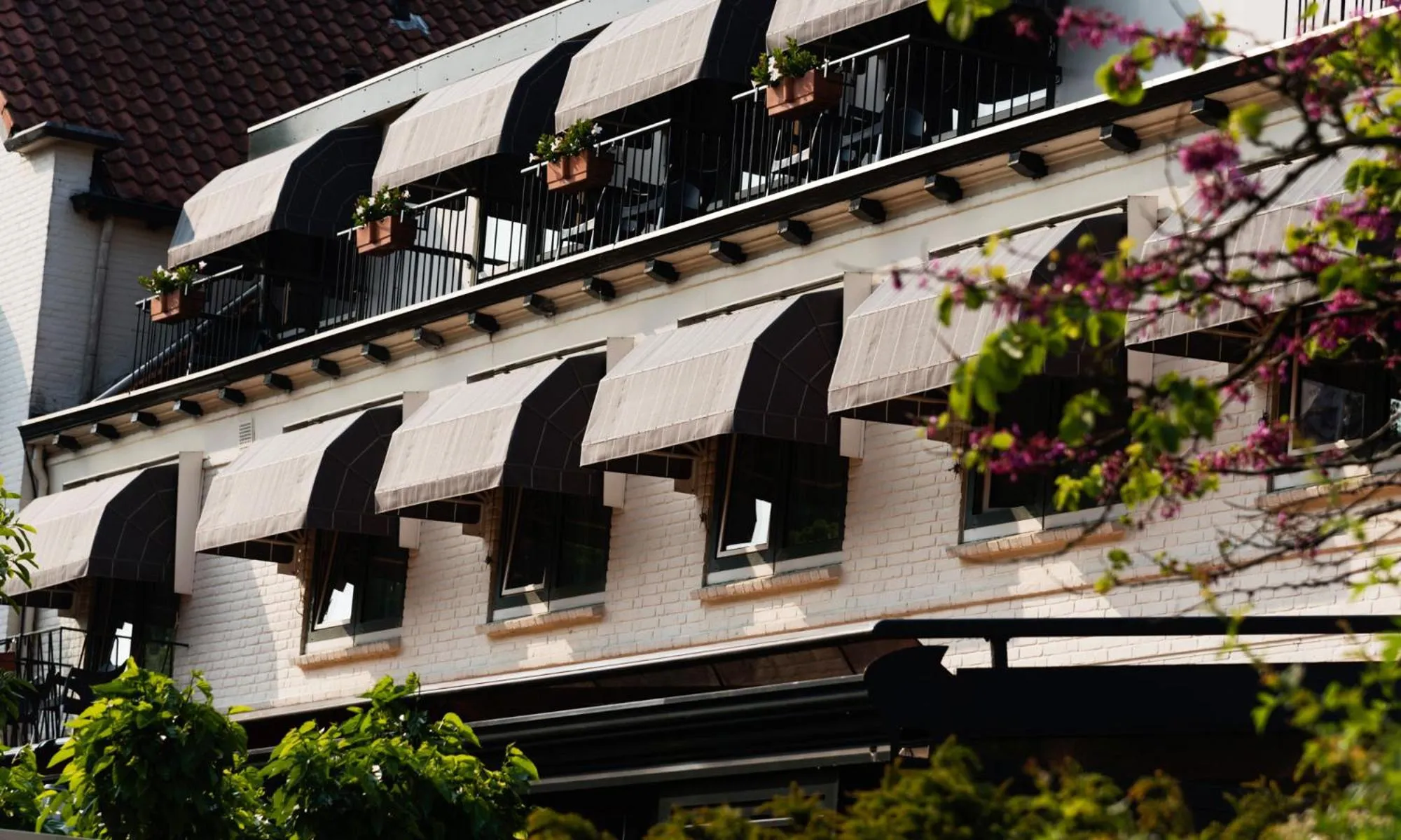 Property building in Hotel 't Paviljoen