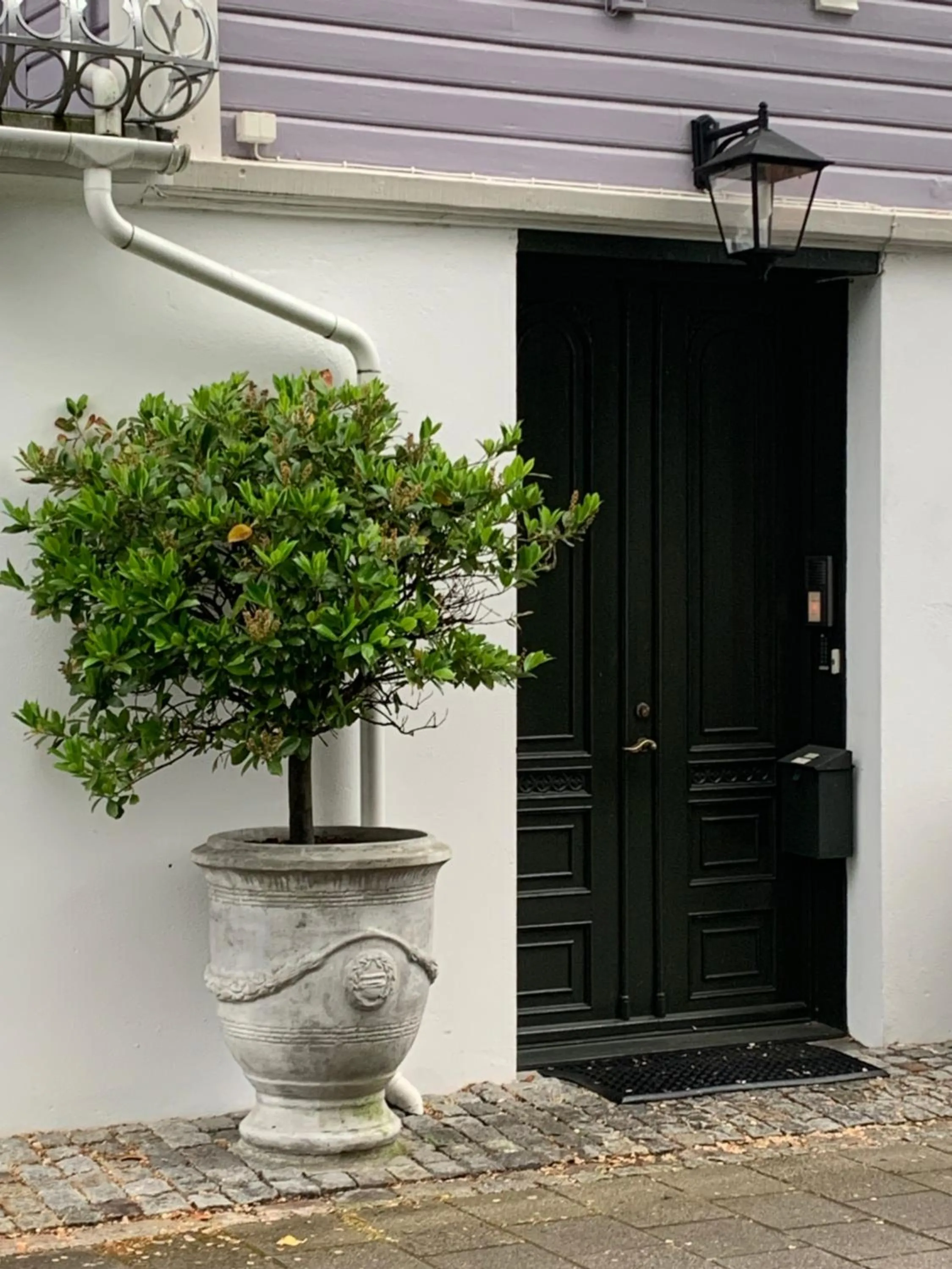 Property building in Villa Eckhoff