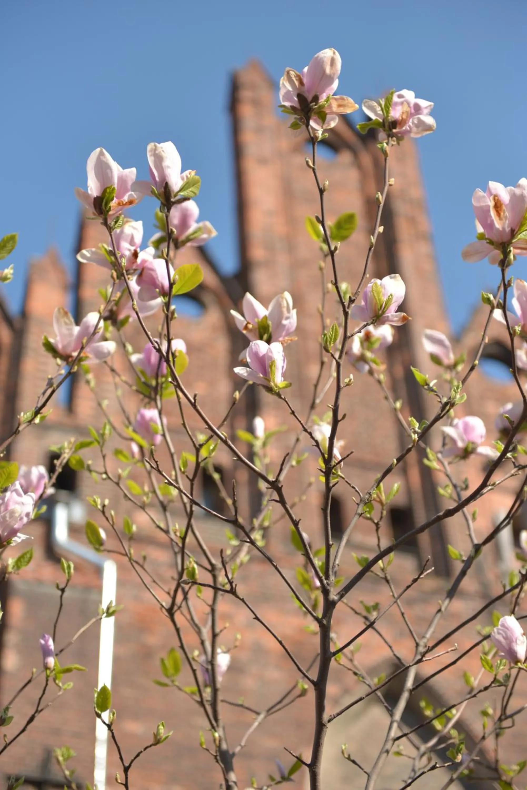 Other in Five Point Hostel & Apartments