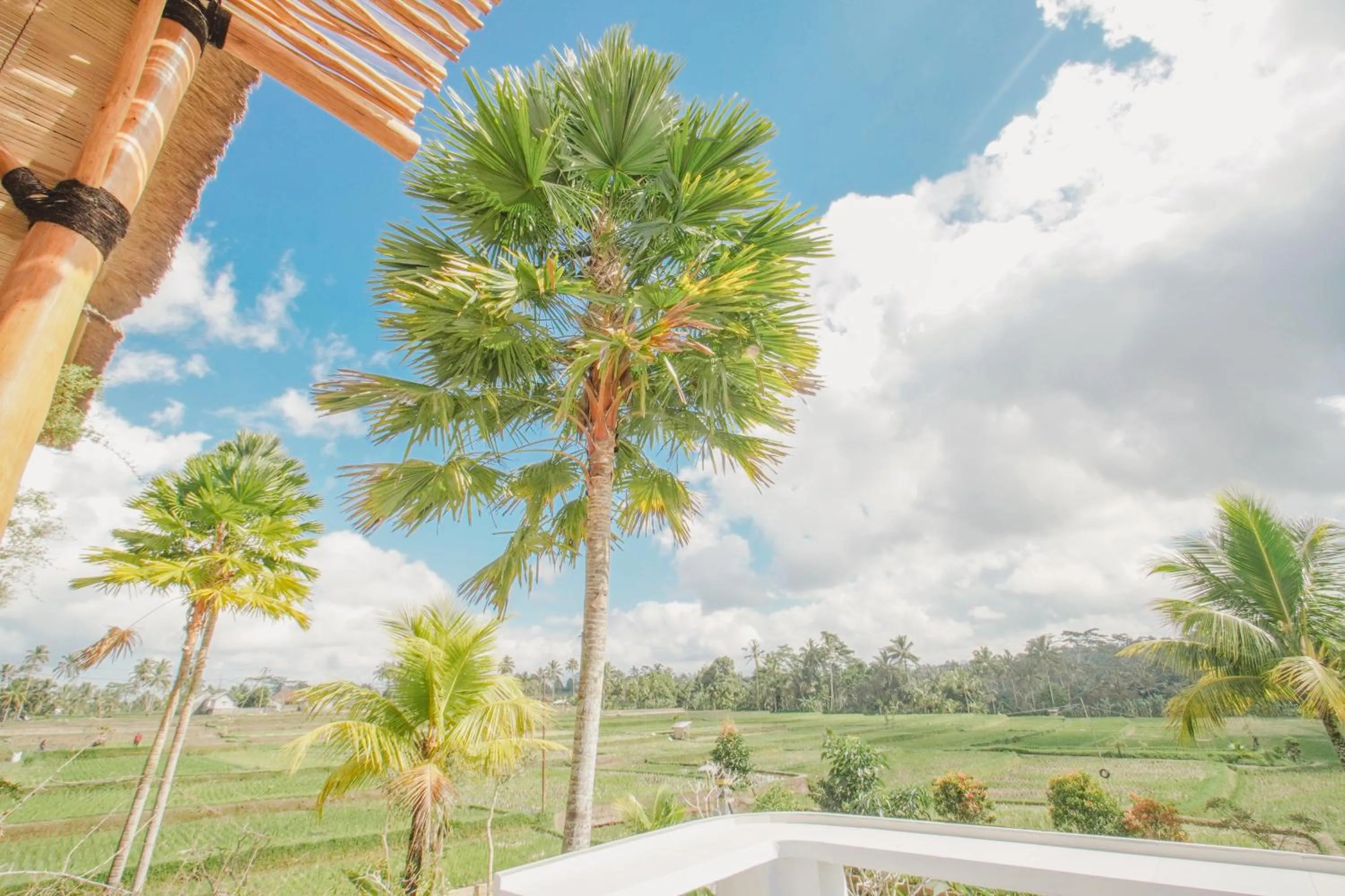 Restaurant/places to eat in The Nenggala Suite