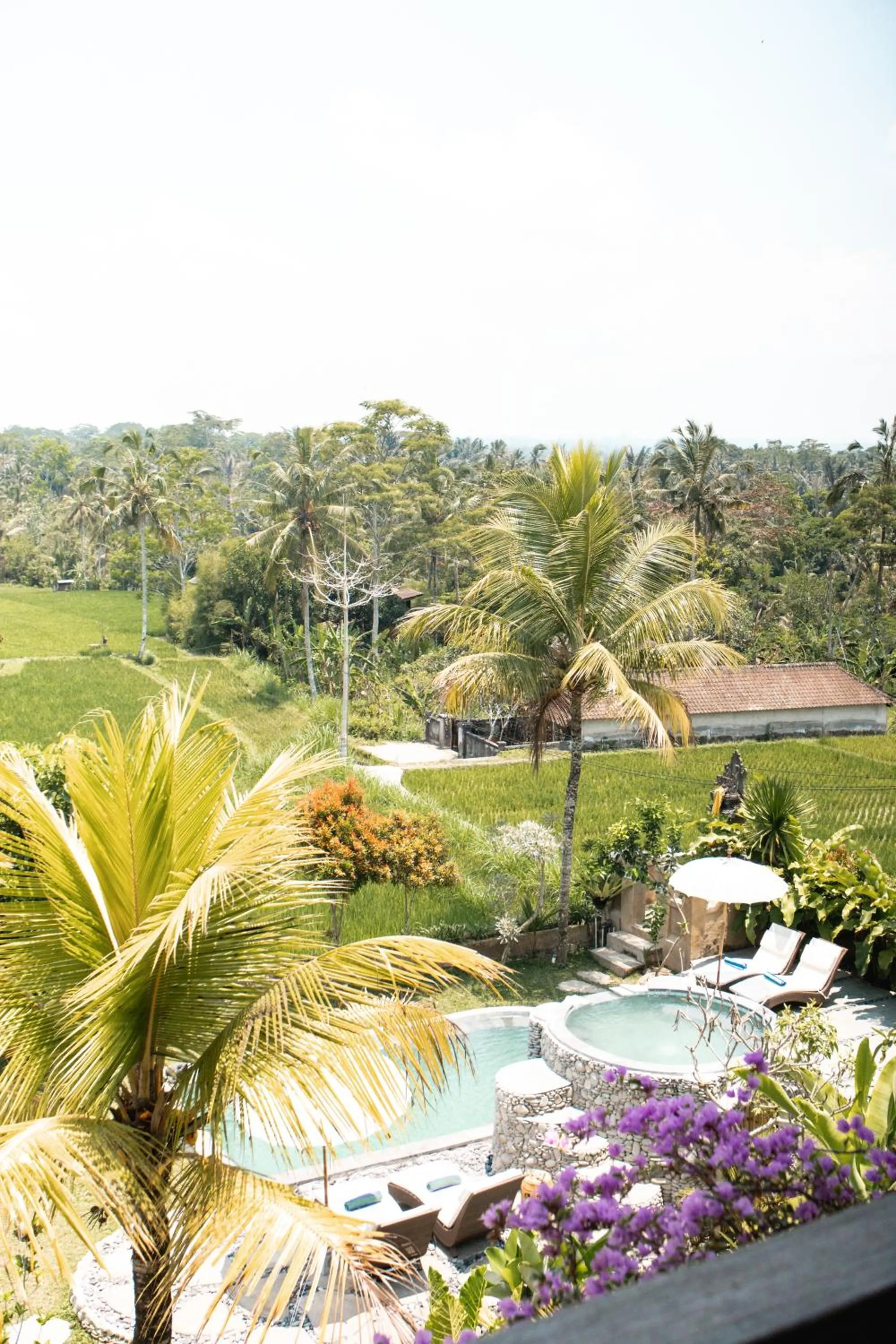 Natural landscape in The Nenggala Suite
