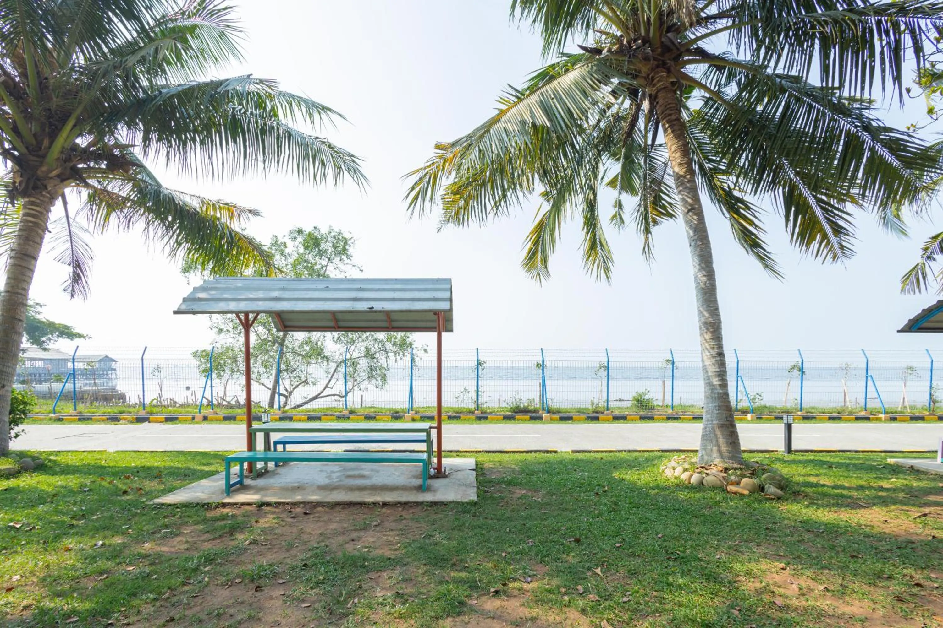 Garden in RedDoorz @ Politeknik Pelayaran Banten