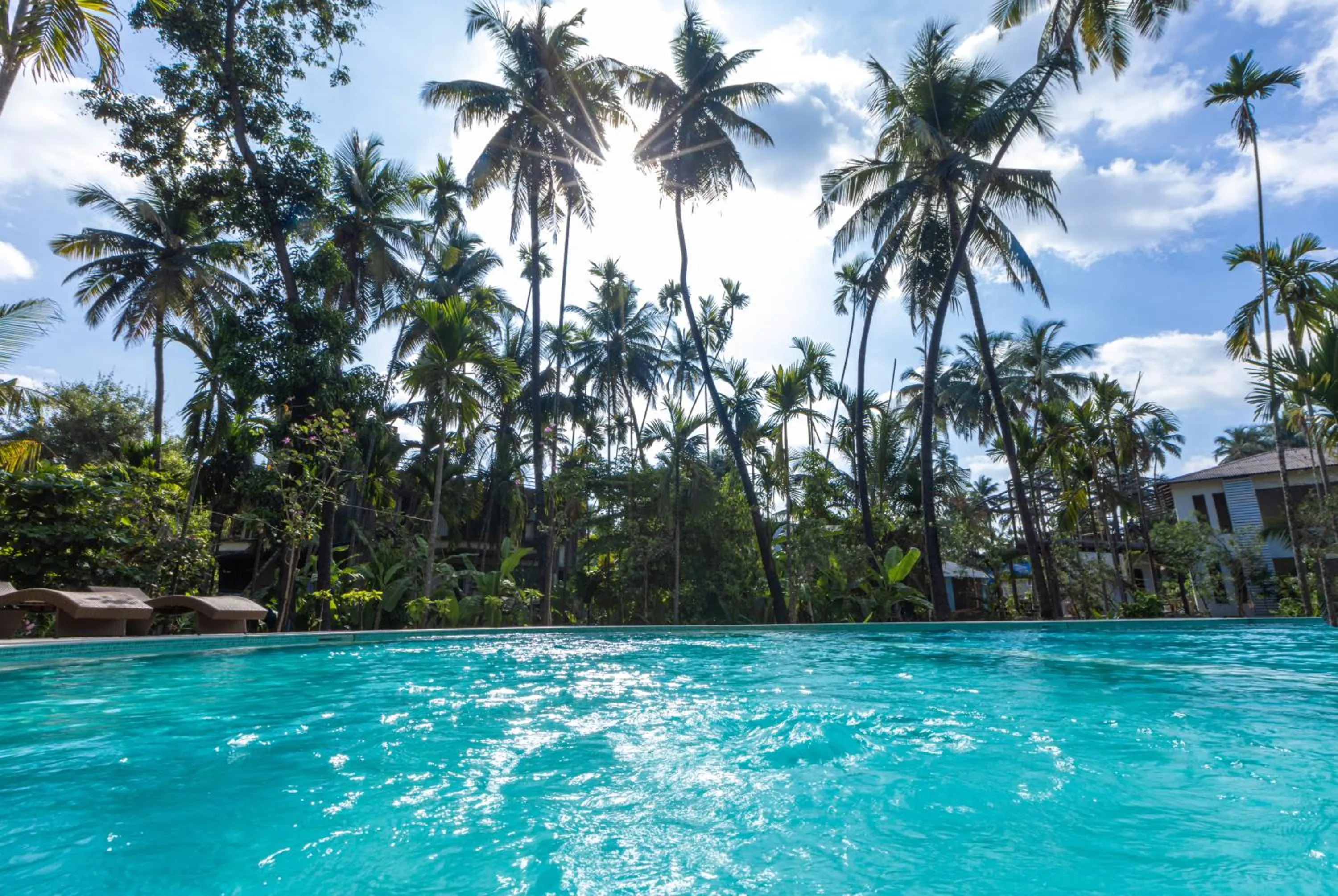Swimming pool in Oceanature Alibaug