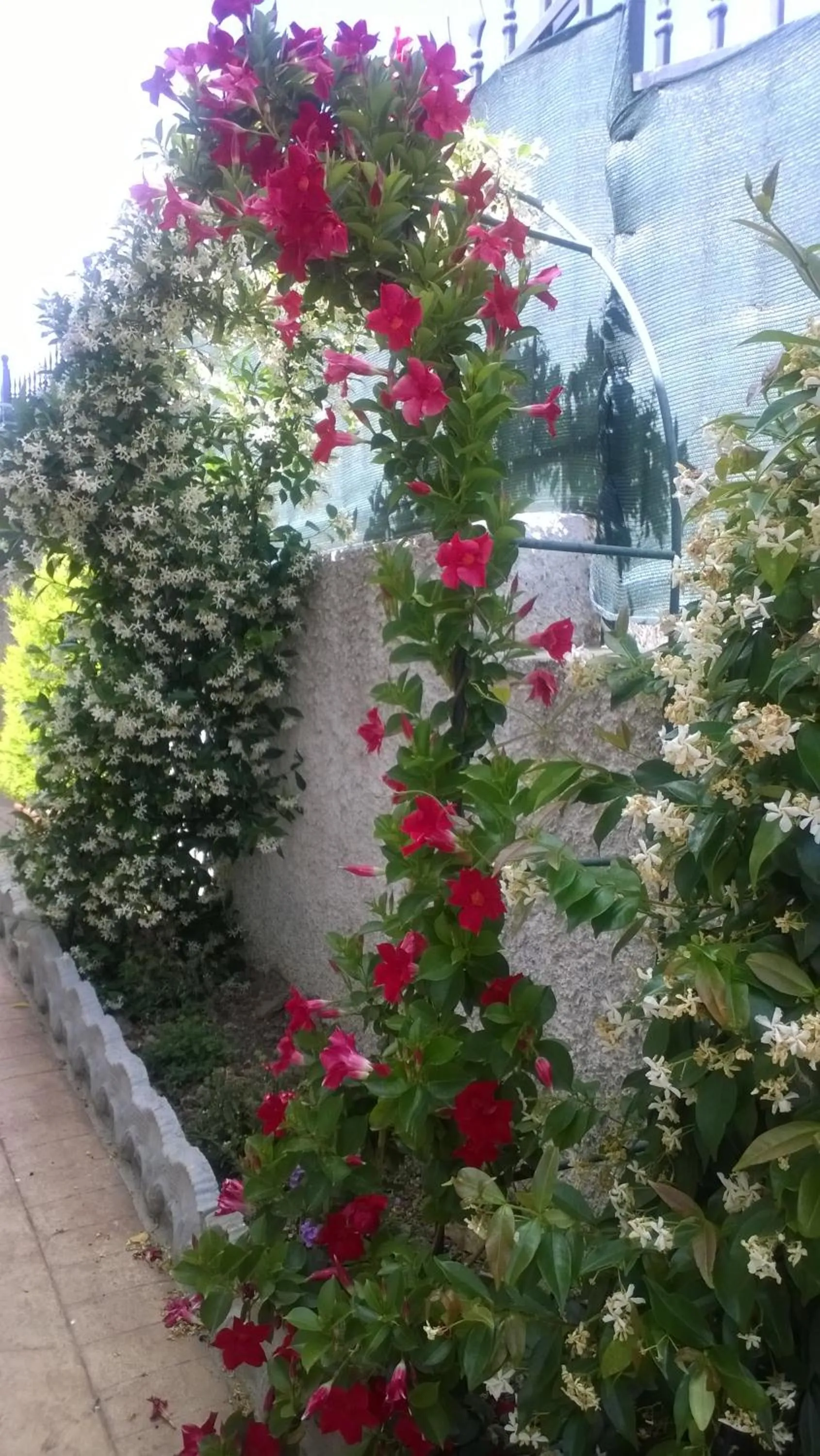 Property building in Bed and Breakfast Angolo Fiorito