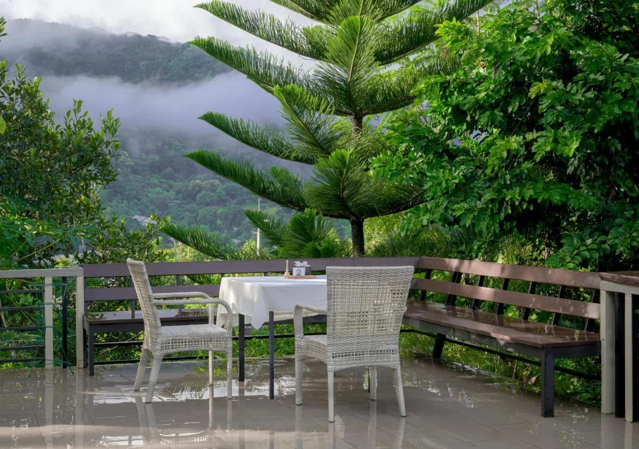 View (from property/room) in VANA Homestay