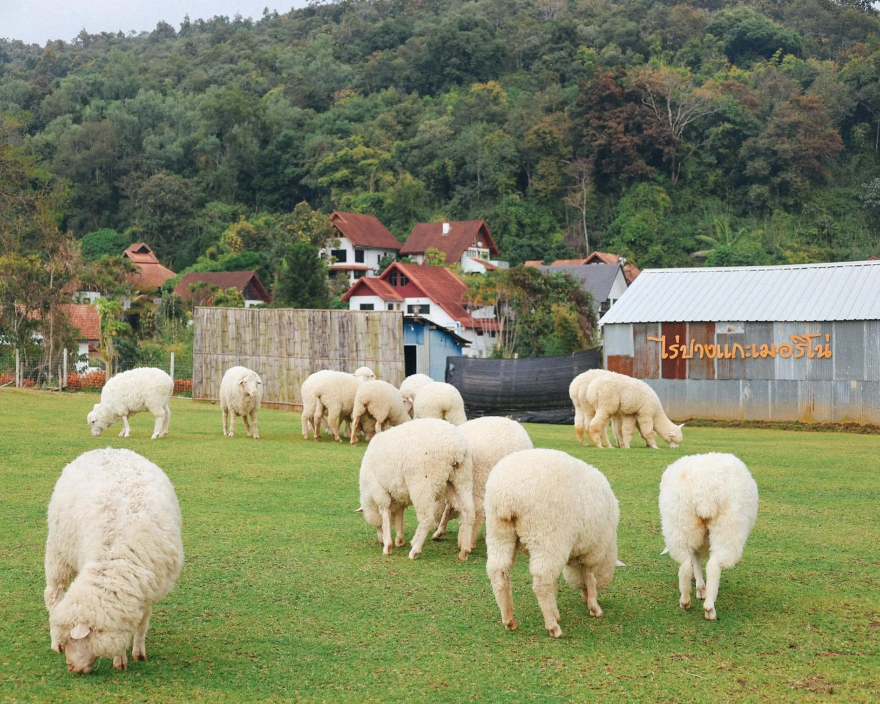 Activities in VANA Homestay