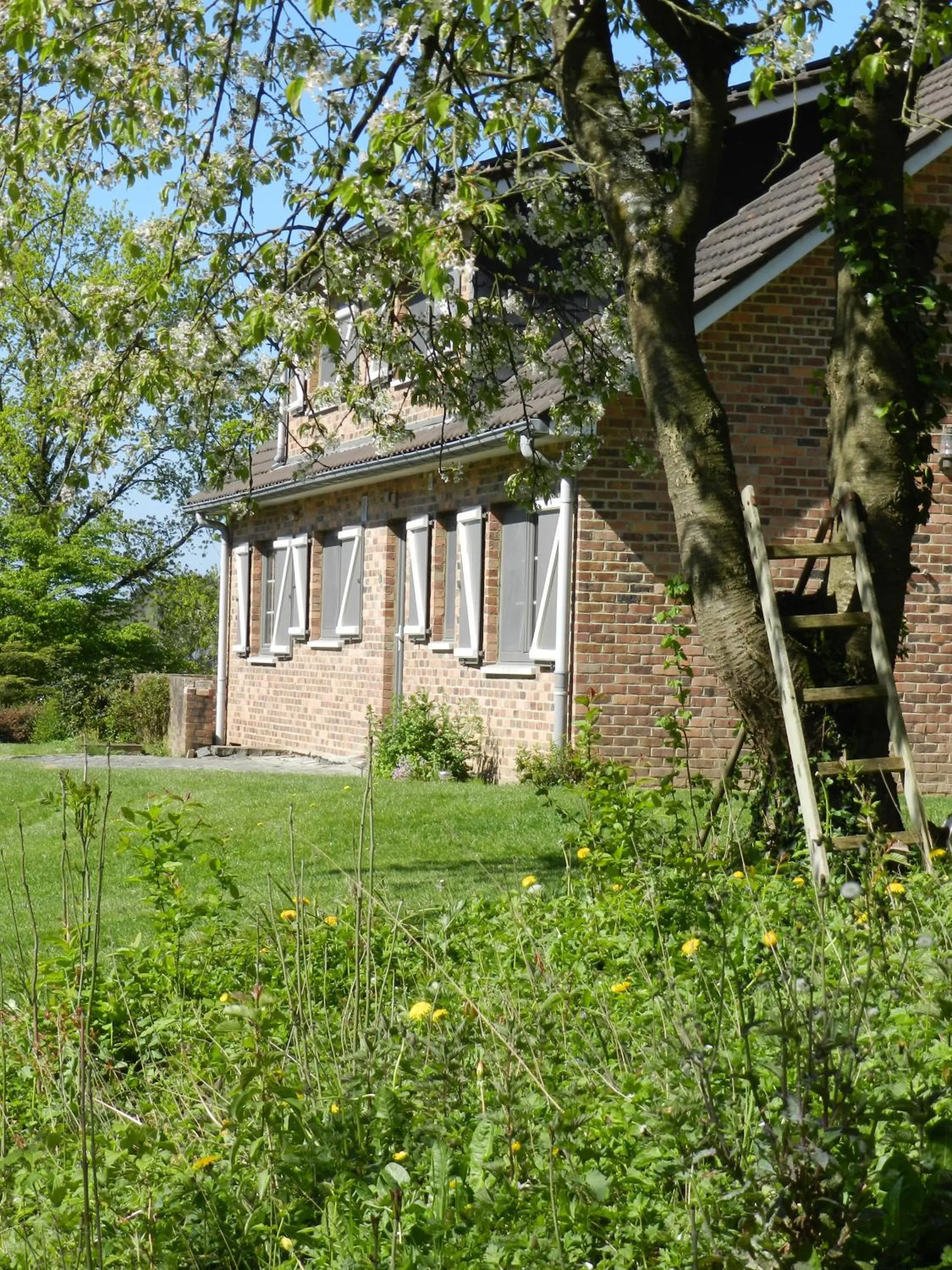 Facade/entrance in B&B Le Bois de Champia