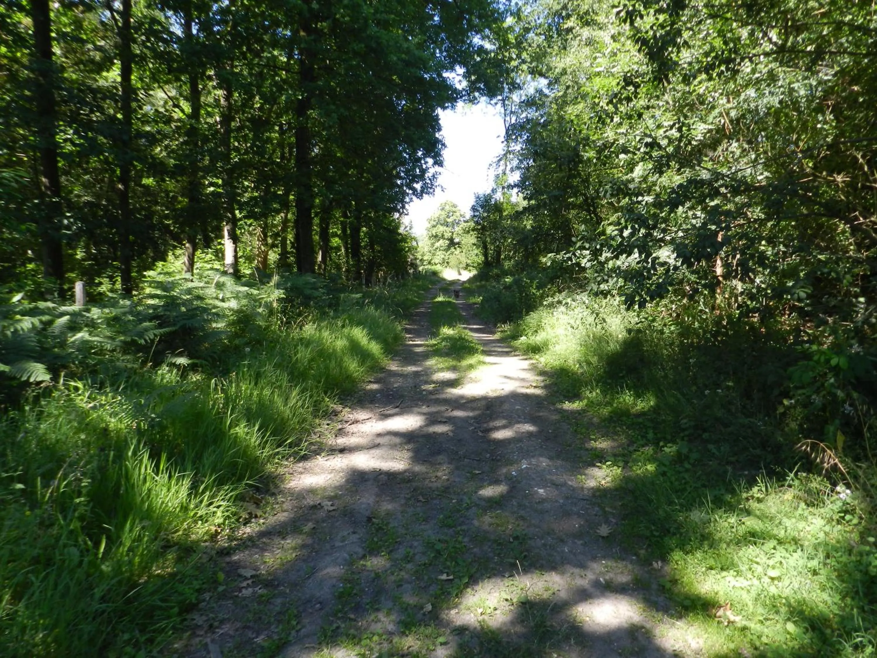 Natural landscape in B&B Le Bois de Champia