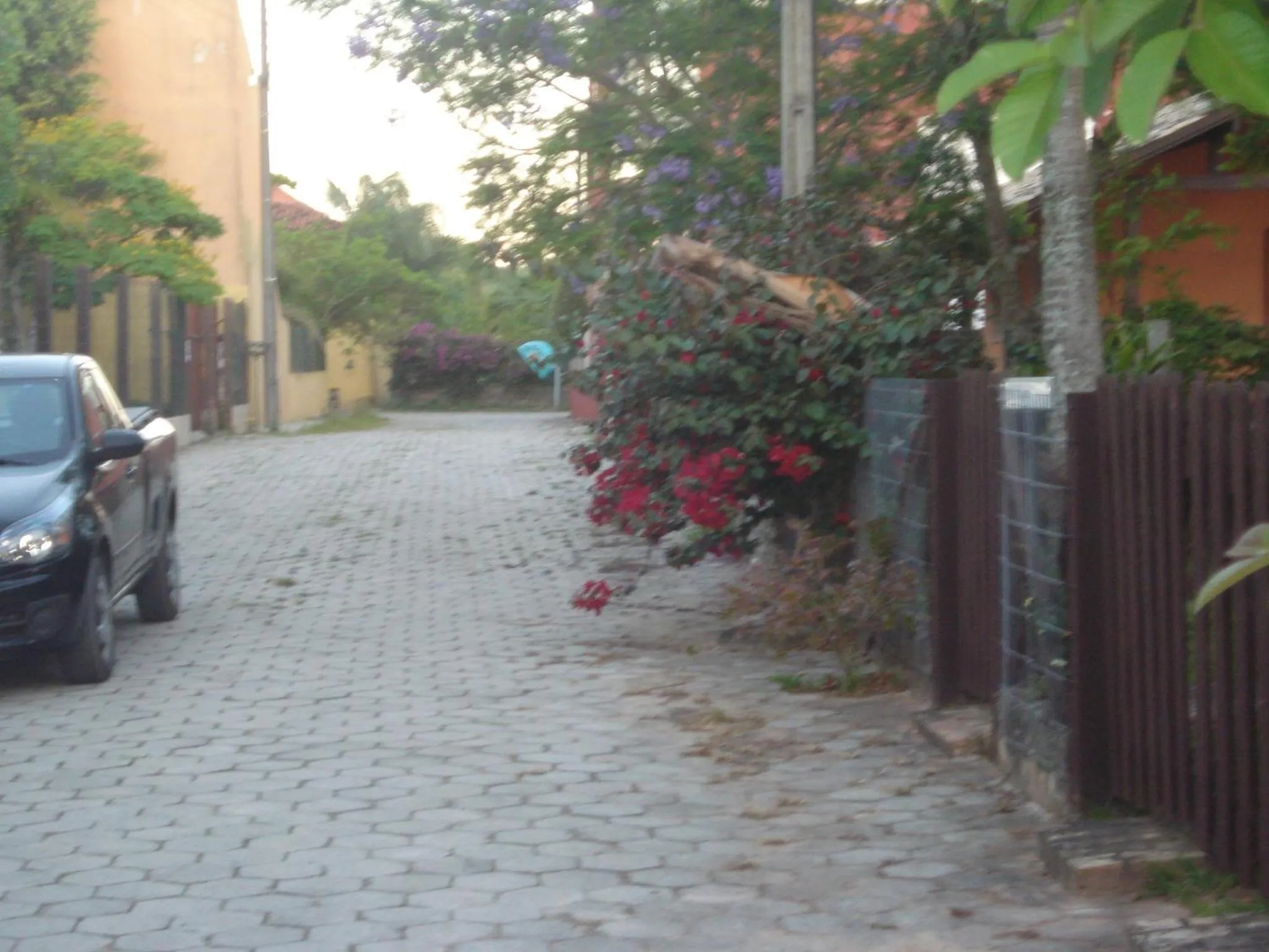 Spring in Casa Guarda do Embaú