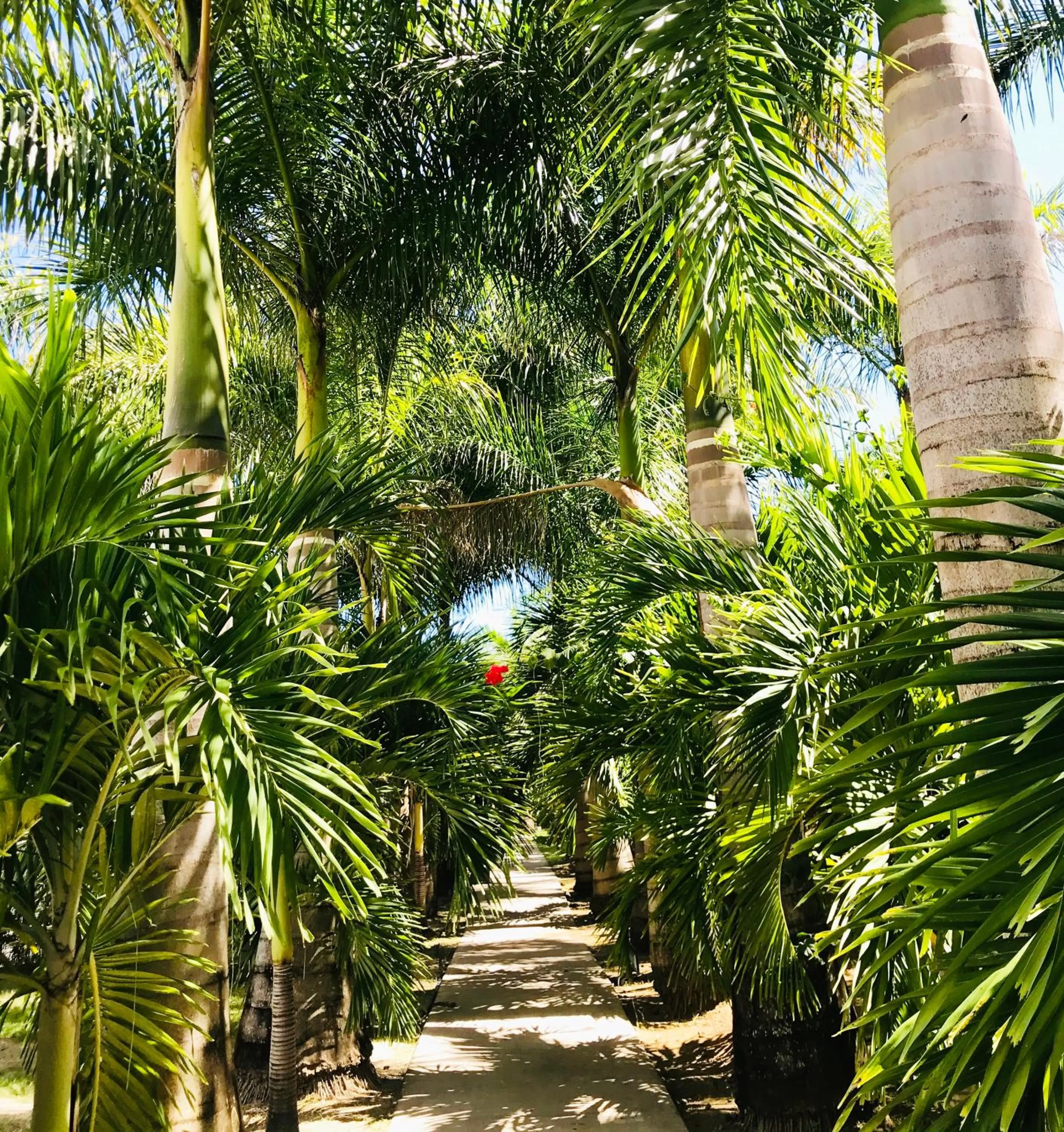 Garden in Le Village de la Pointe
