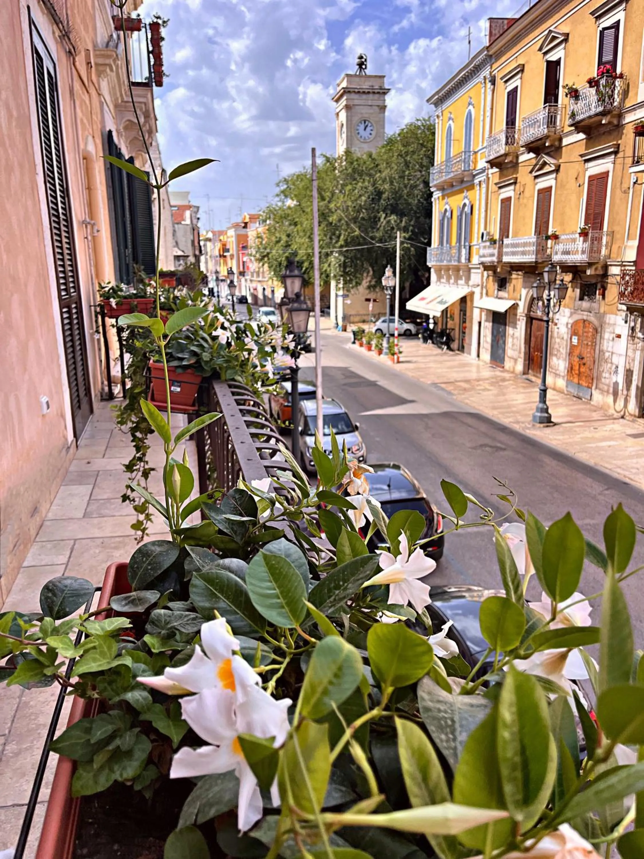 Street view in Corso Grand suites