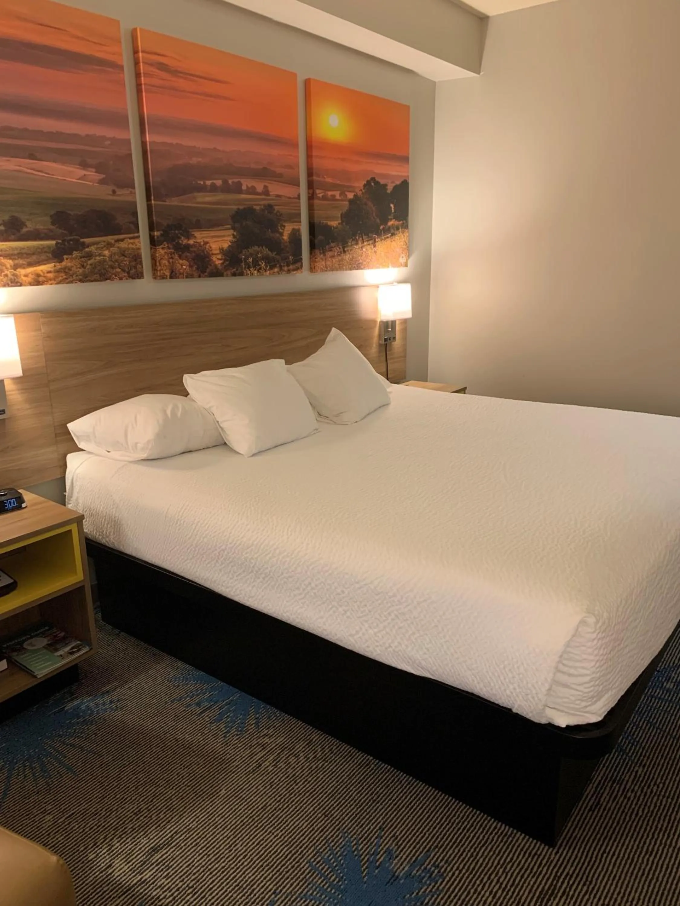 Bedroom, Bed in Days Inn by Wyndham Carroll