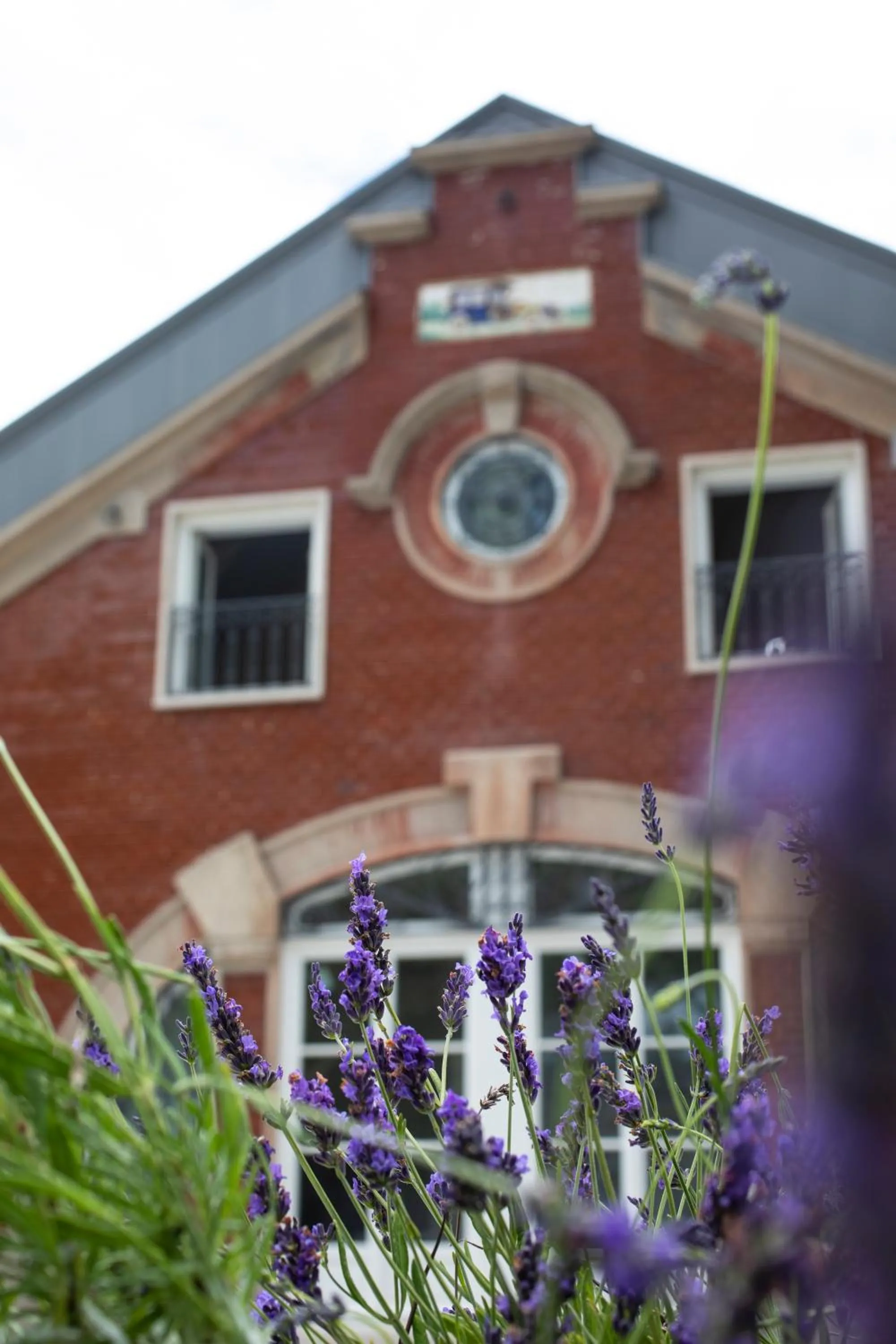 Property building in One Shot Palácio Cedofeita