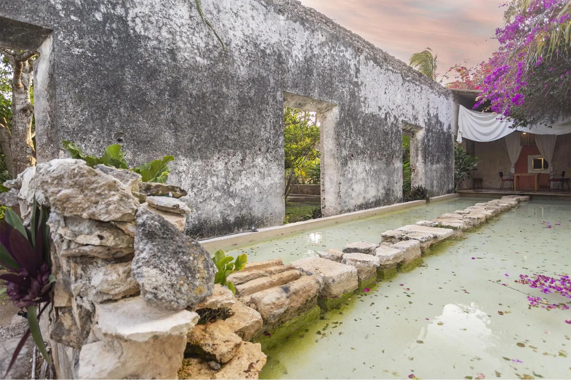 Garden in Hacienda Sacnicte