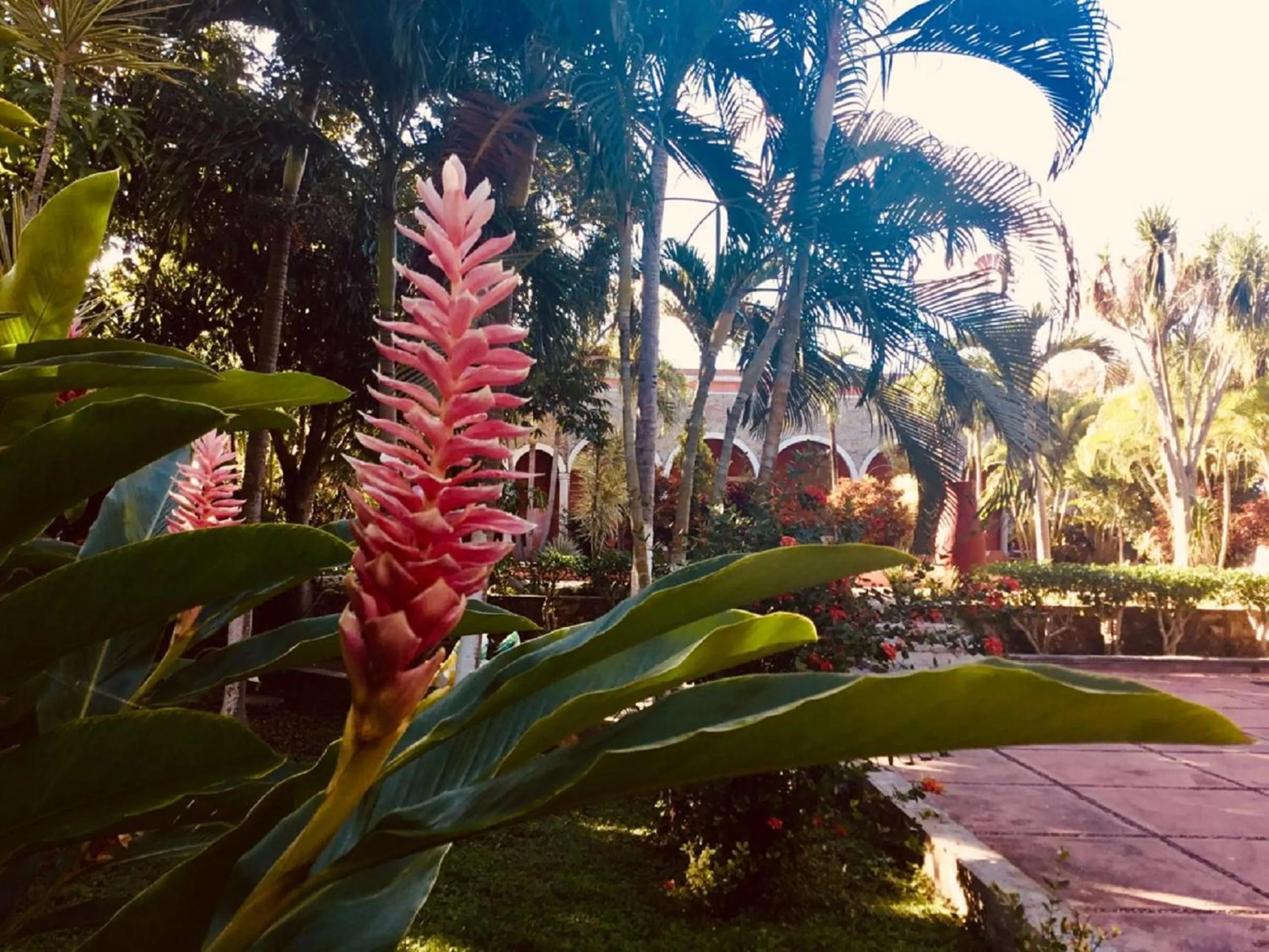 Natural landscape in Hacienda Sacnicte