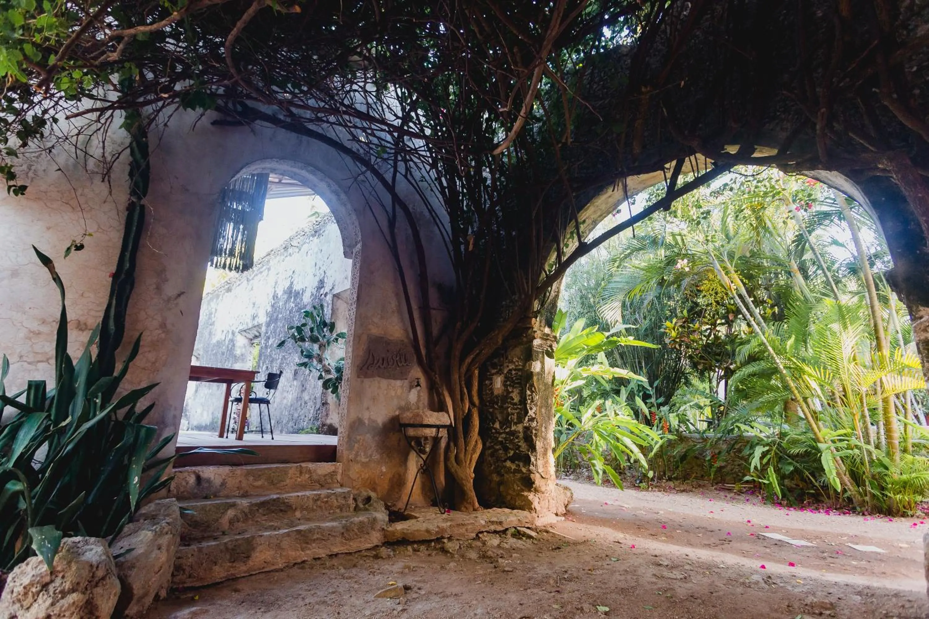 Spa and wellness centre/facilities in Hacienda Sacnicte