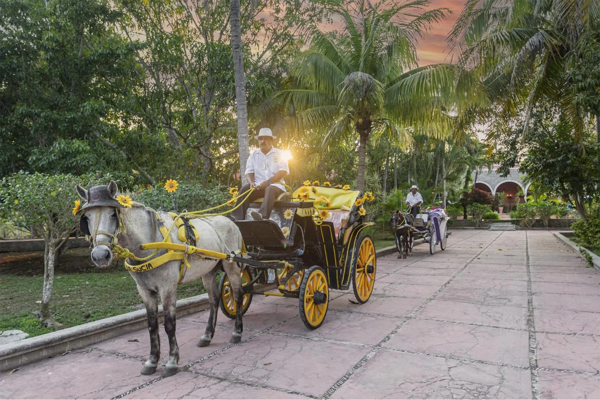 People in Hacienda Sacnicte