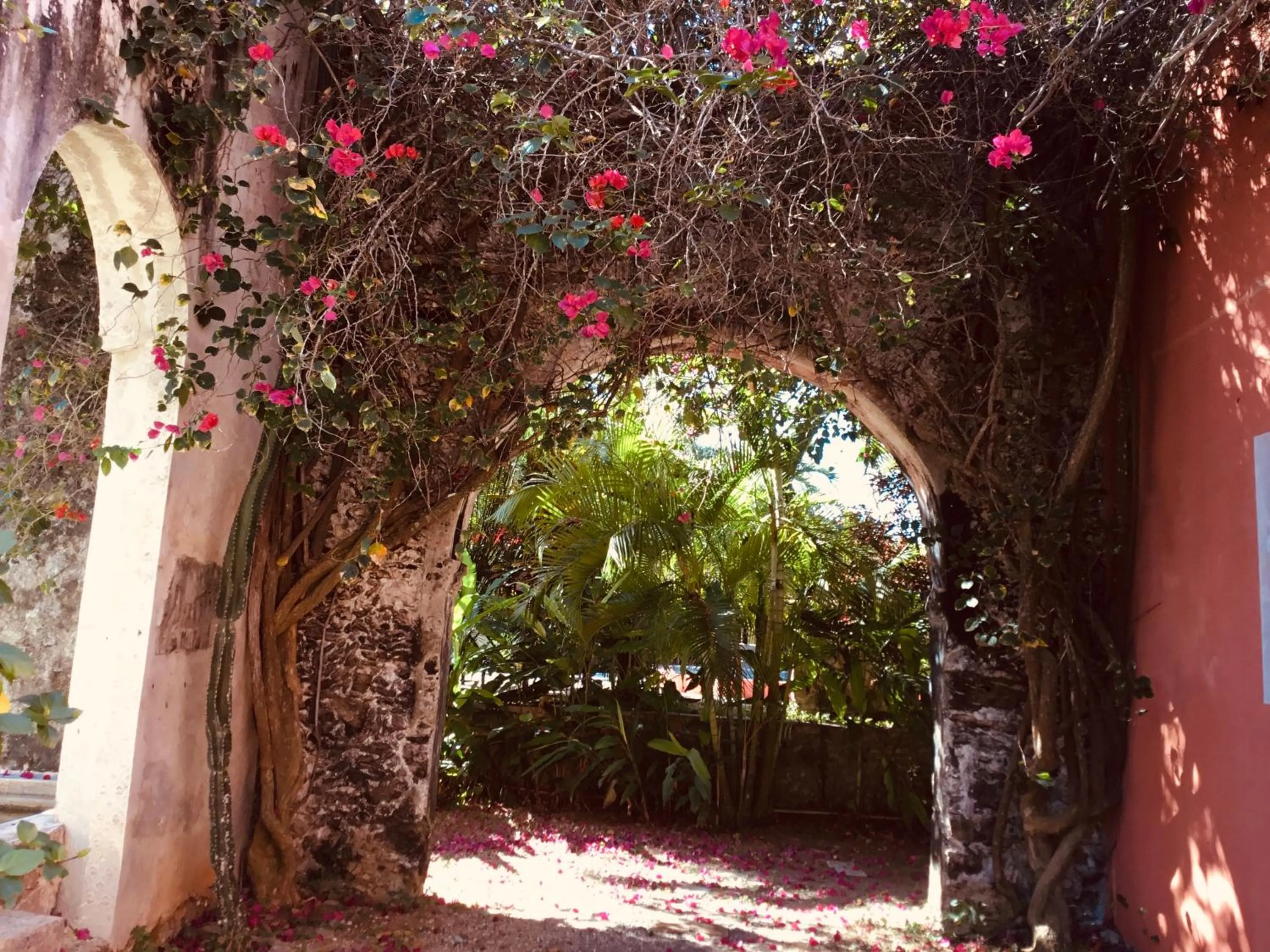 Garden in Hacienda Sacnicte