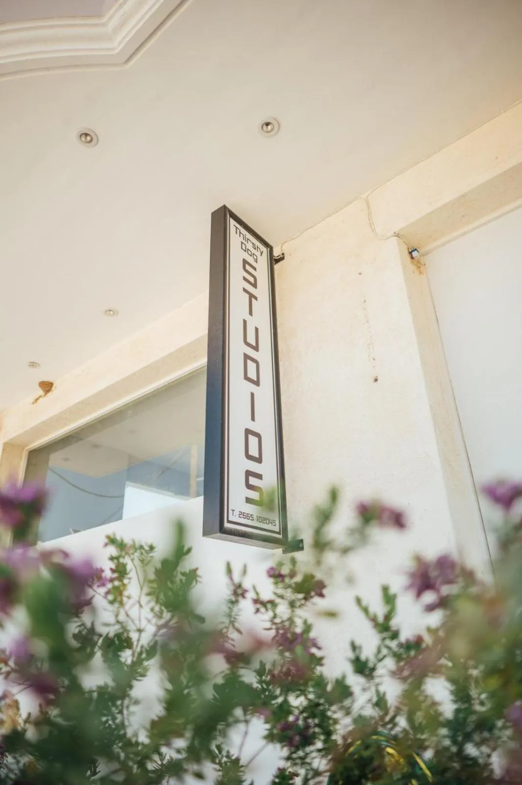 Property logo or sign in Thirsty Dog Urban Port Studios