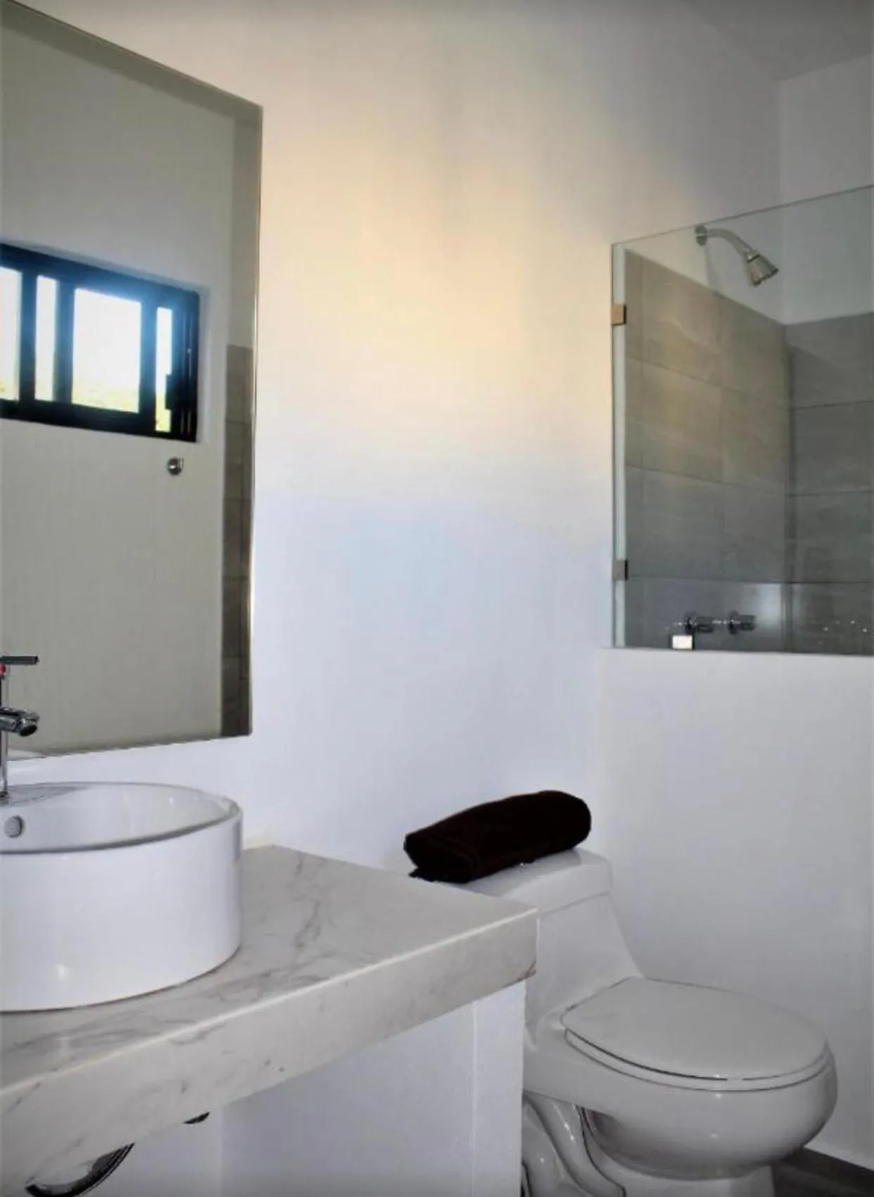 Stay tropical downtown studios