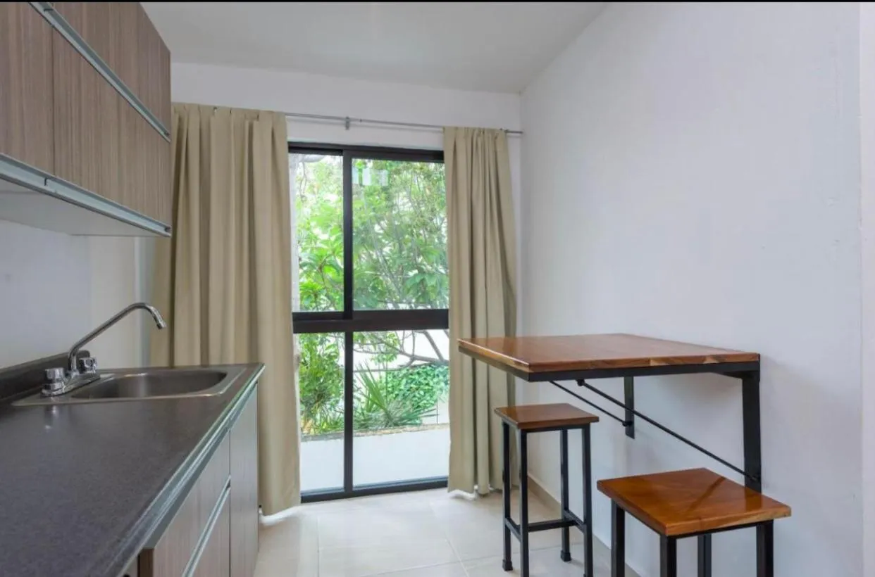 Stay tropical downtown studios