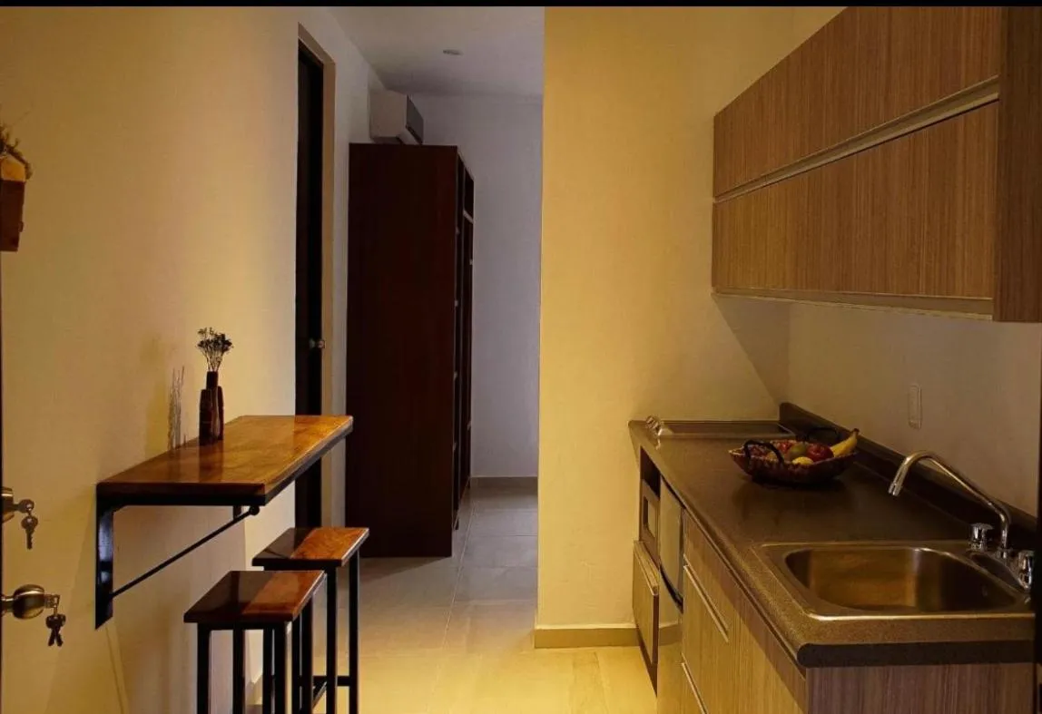 Stay tropical downtown studios