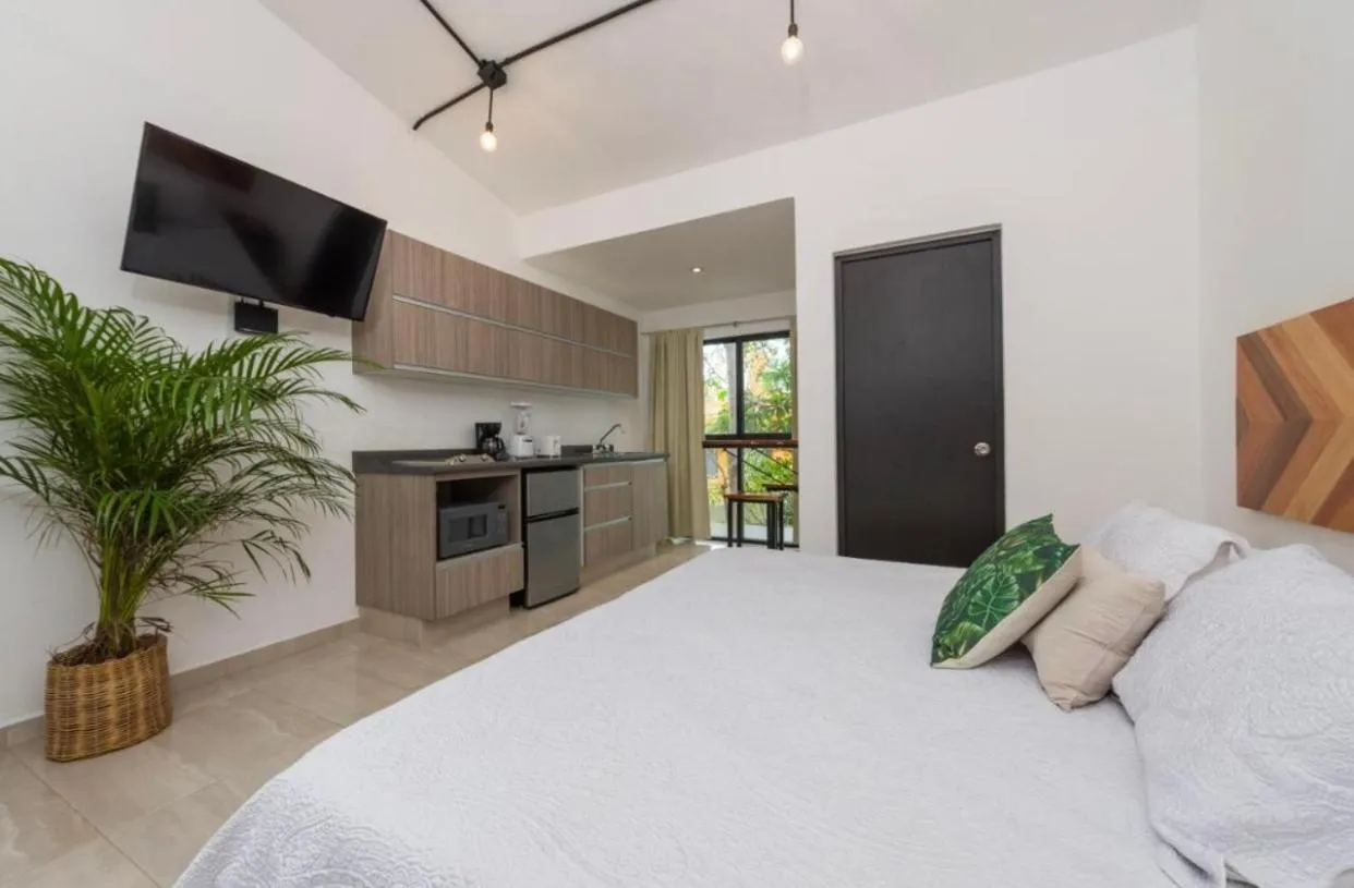 Stay tropical downtown studios