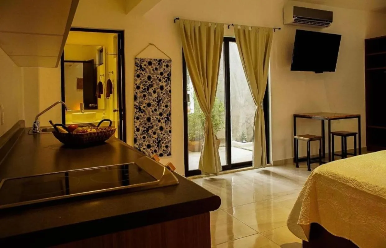 Stay tropical downtown studios