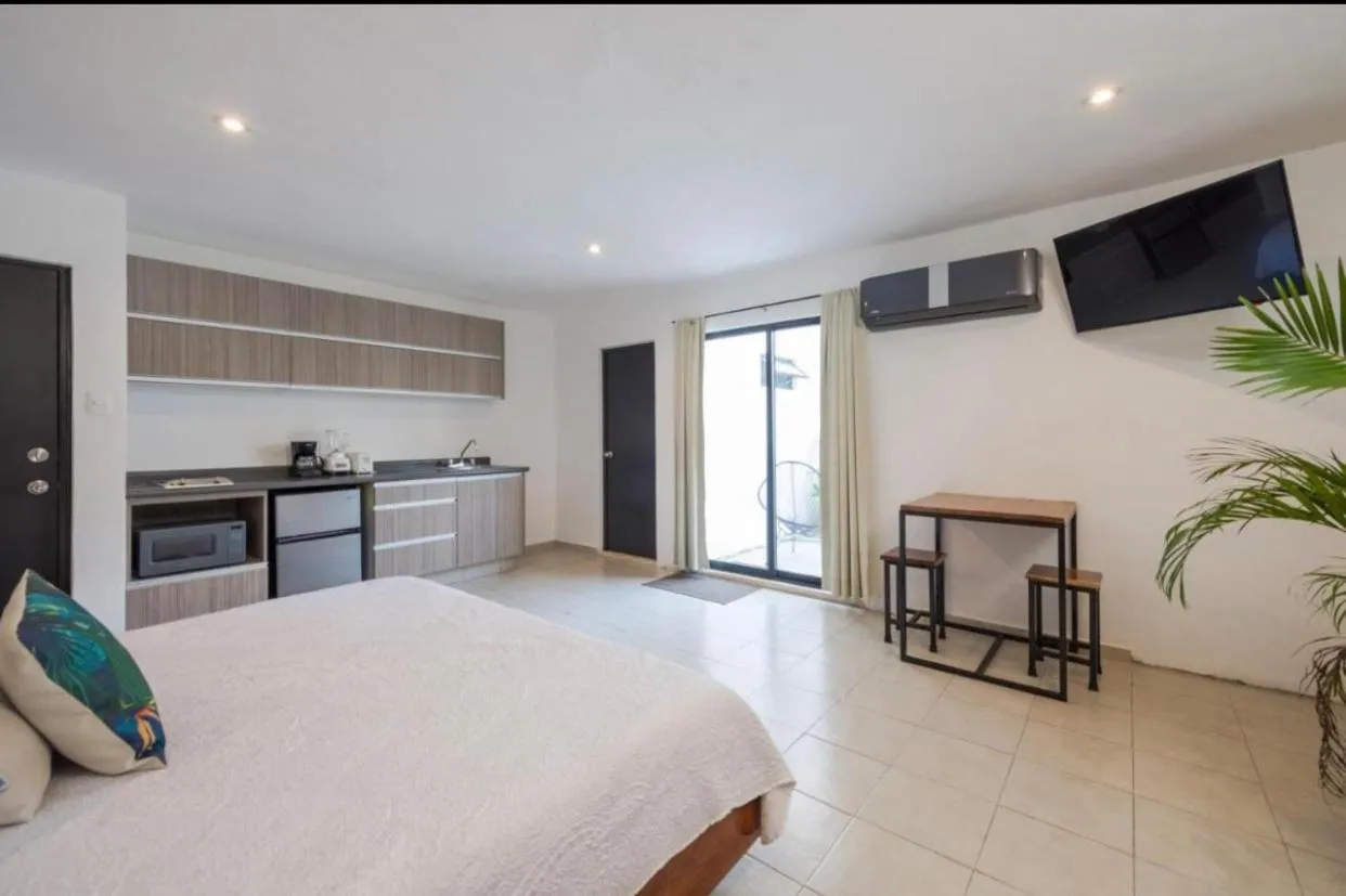 Stay tropical downtown studios